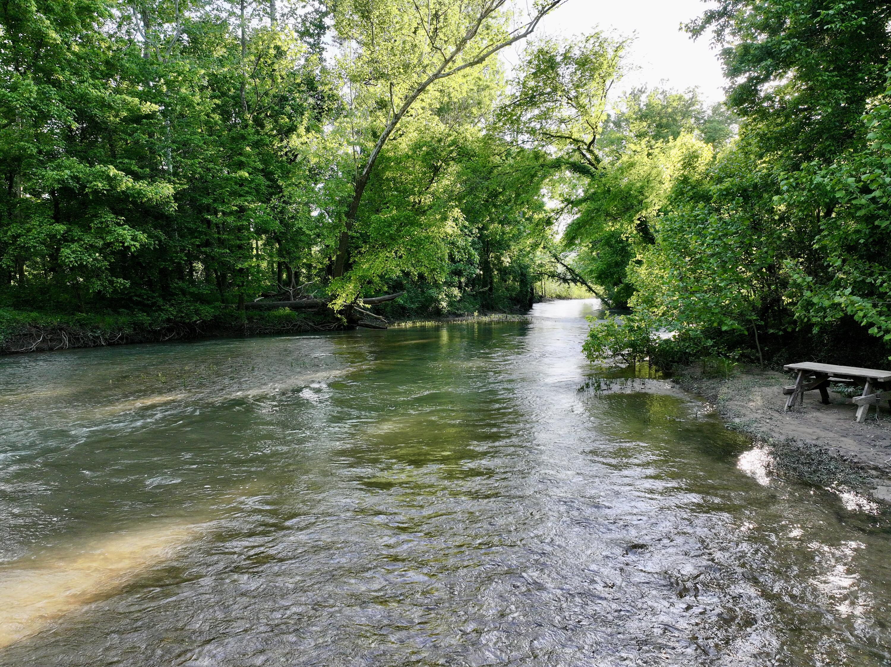 1424 Brown Road Property Photo 41