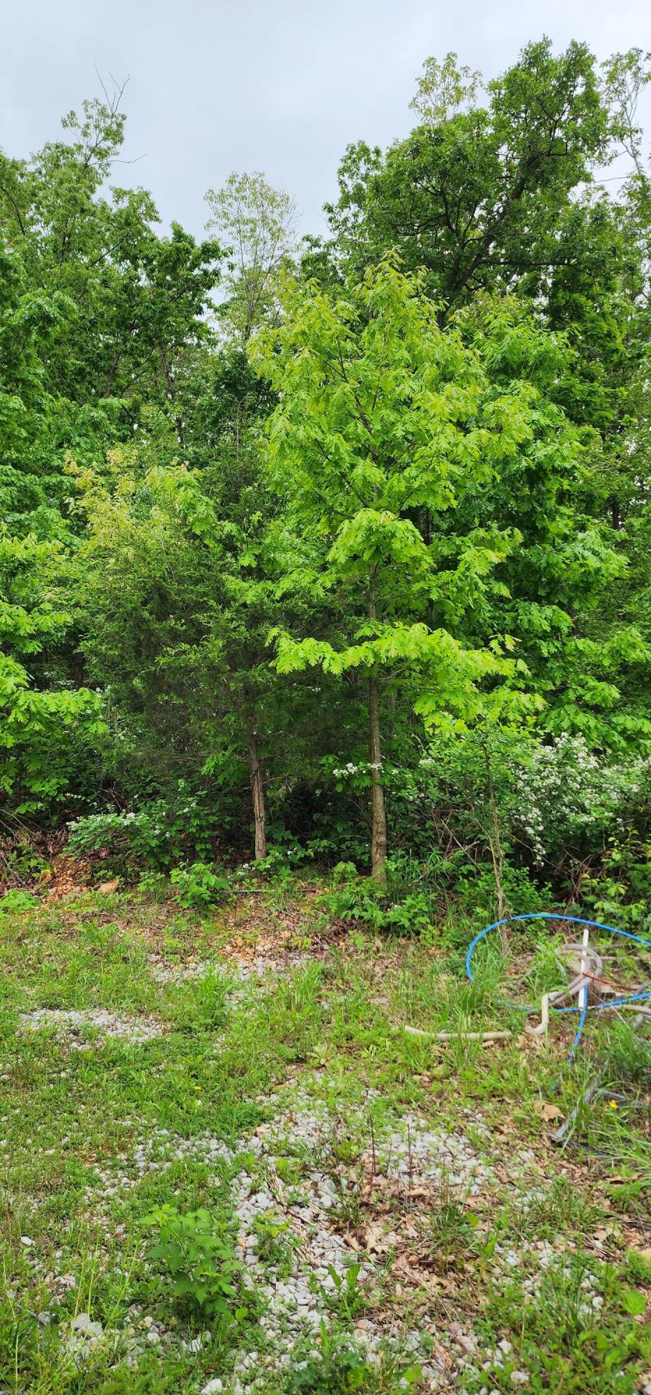 19879 Farm Road 1043 Property Photo 8