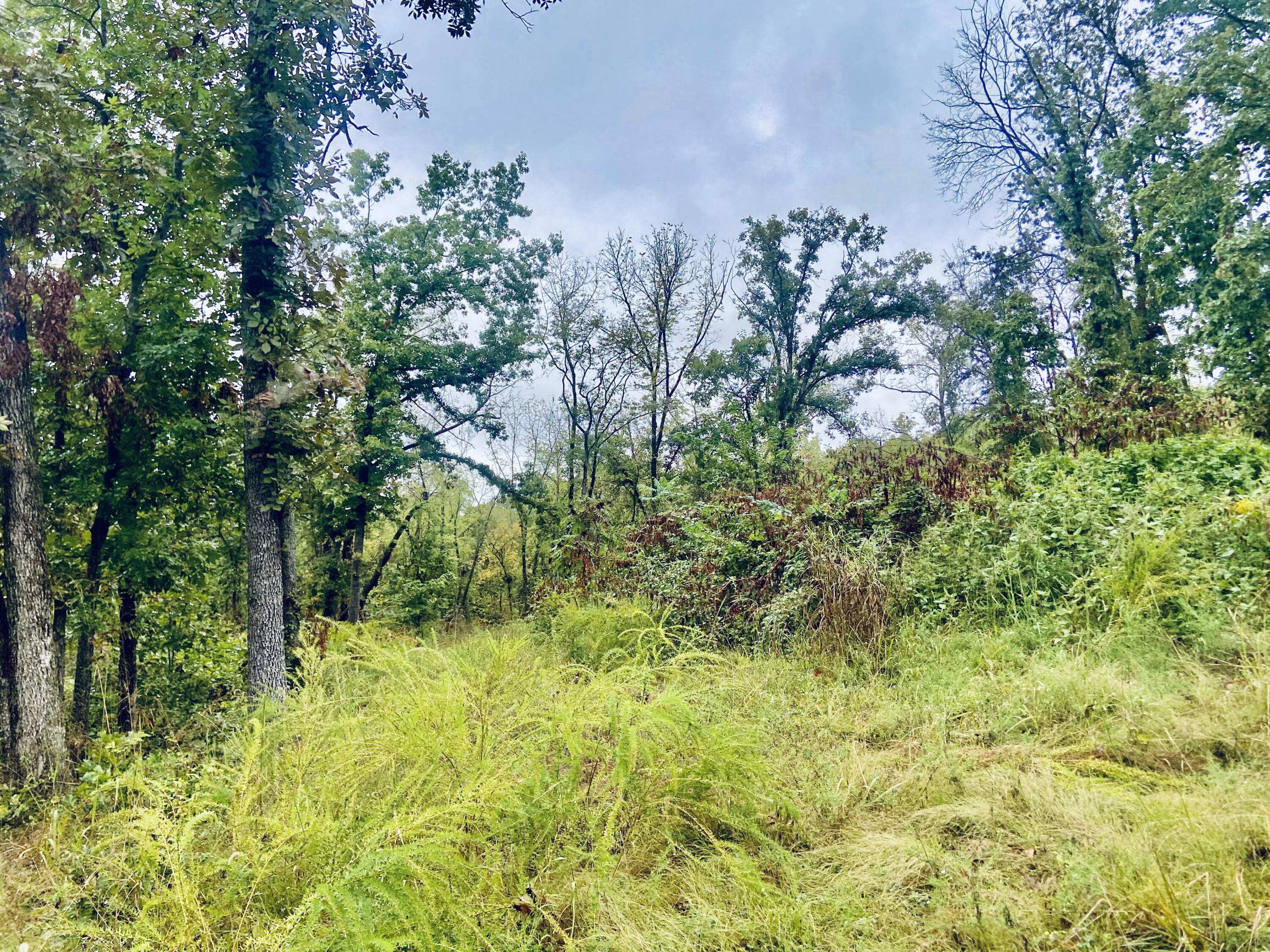 294 East Dade 68 Property Photo 4