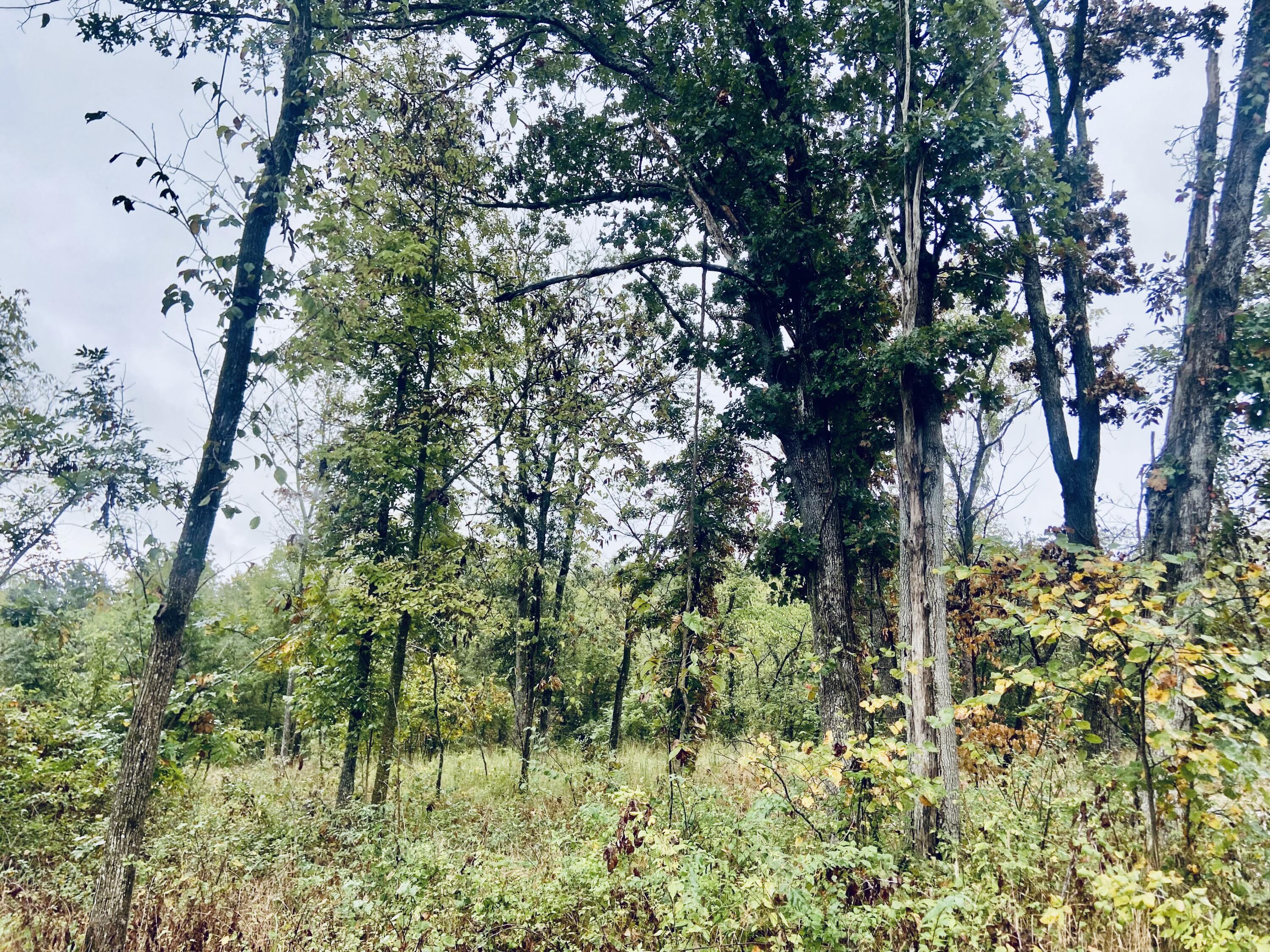 294 East Dade 68 Property Photo 5