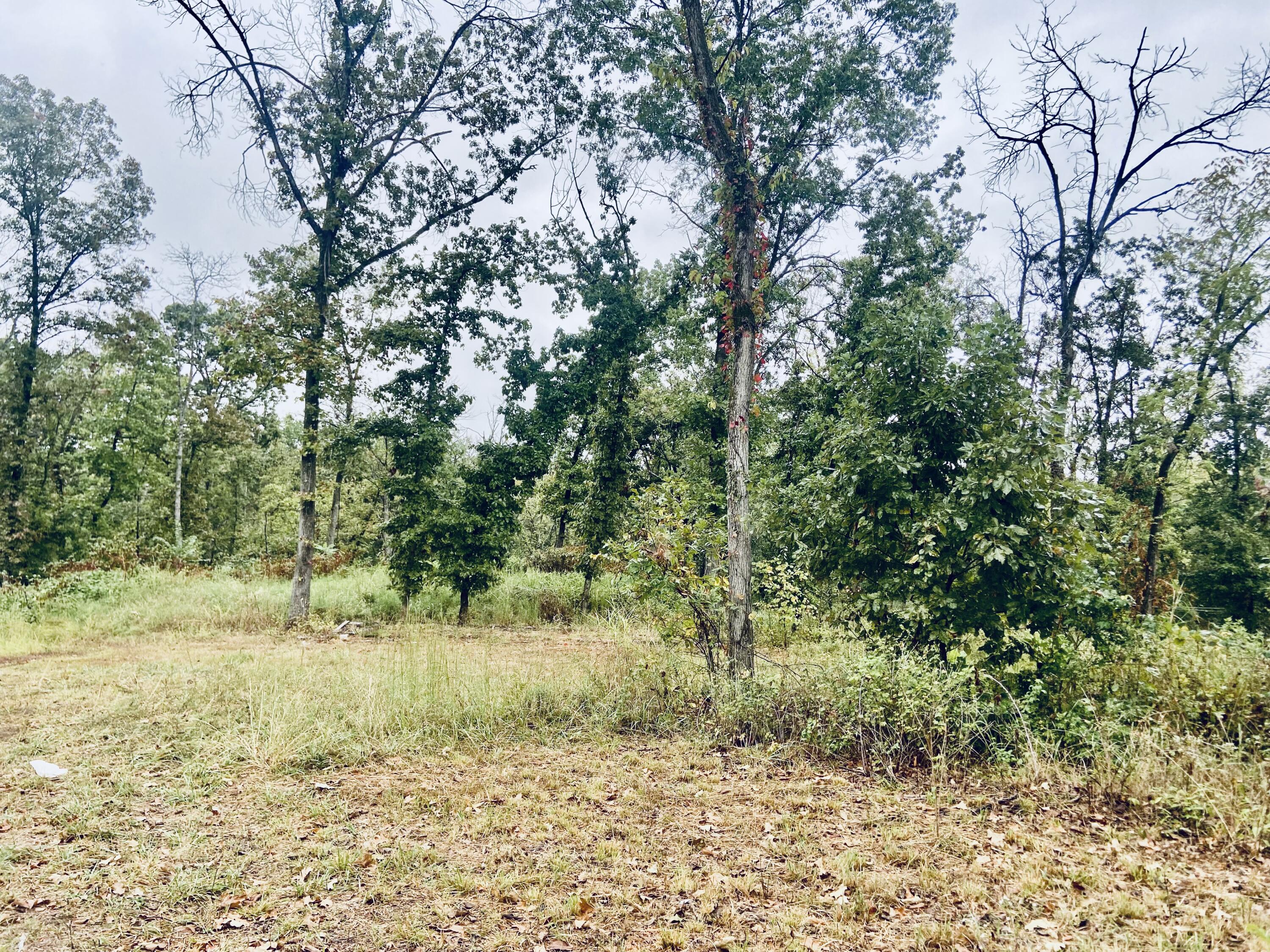 294 East Dade 68 Property Photo 6