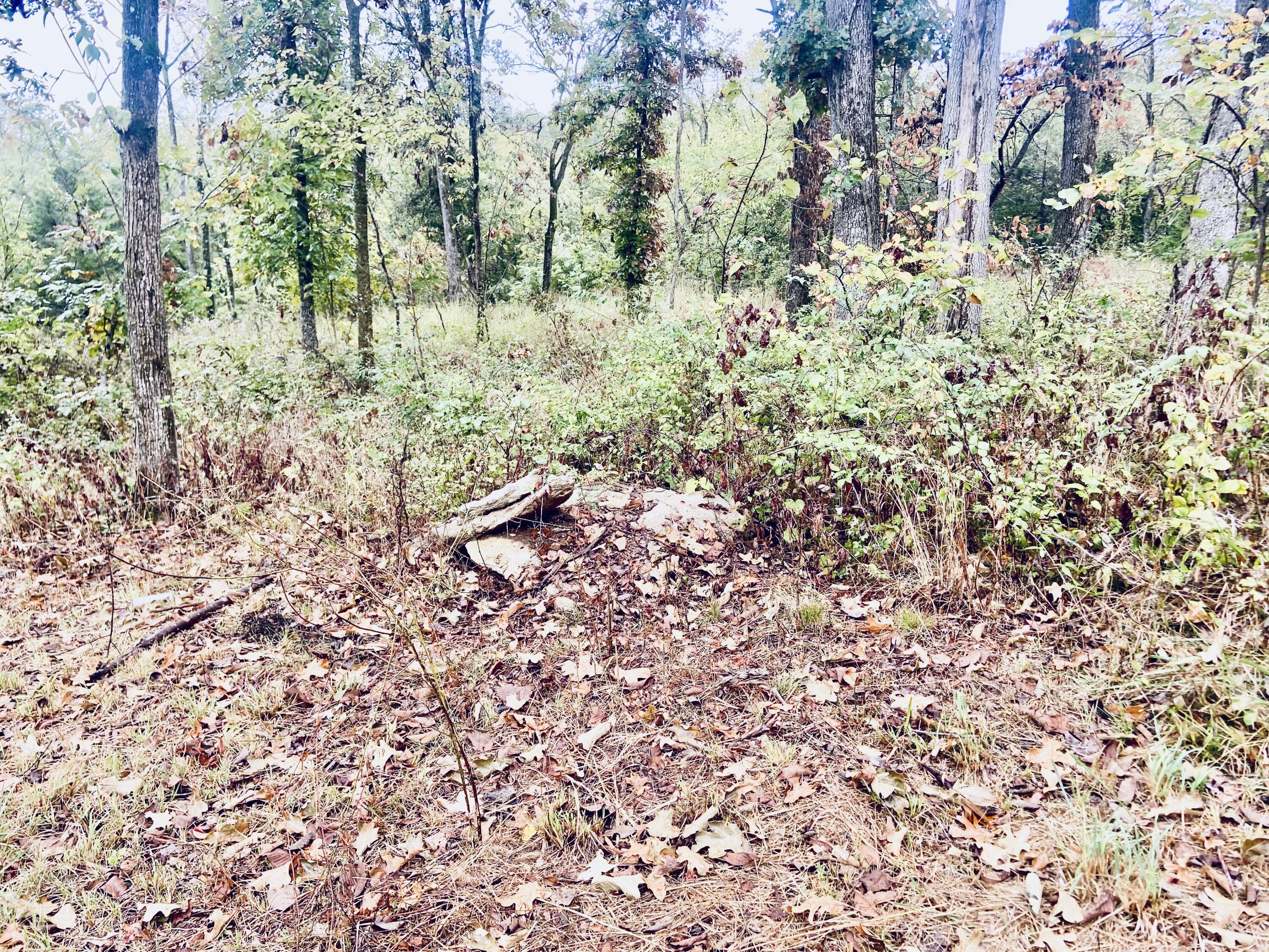 294 East Dade 68 Property Photo 8