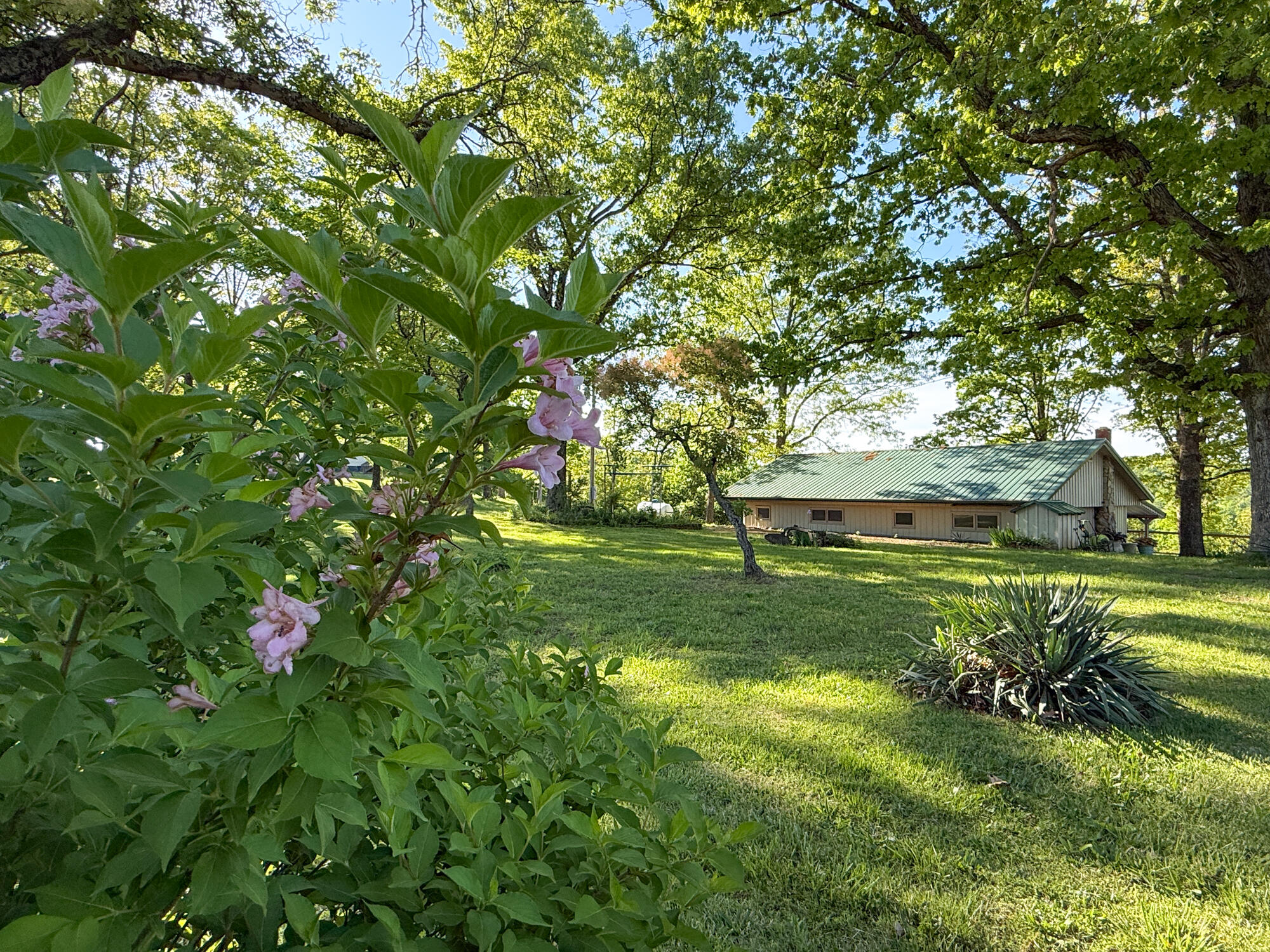 13060 Highway Ee (option 2) Property Photo 17