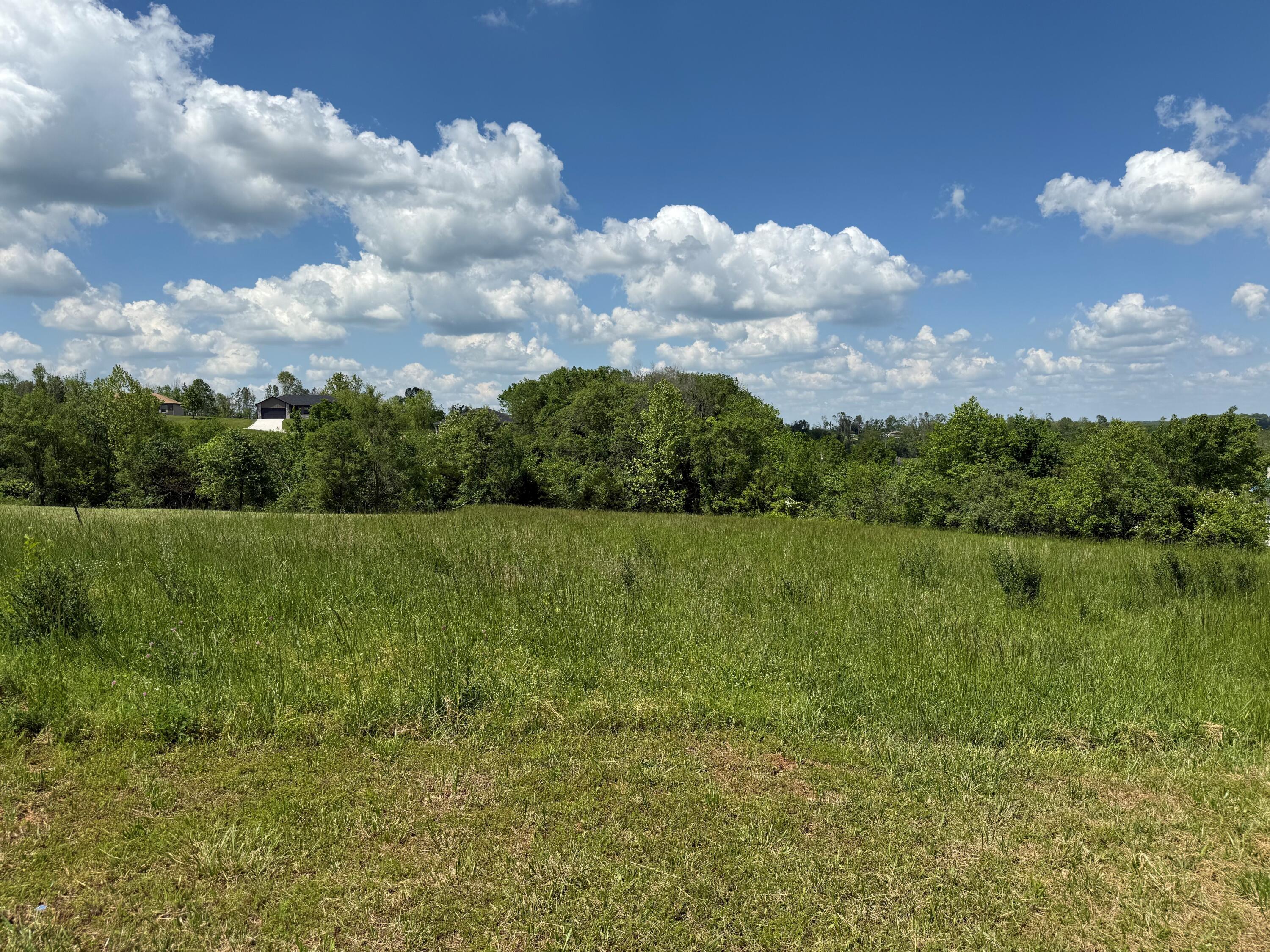 000 Blackberry Court Court Property Photo