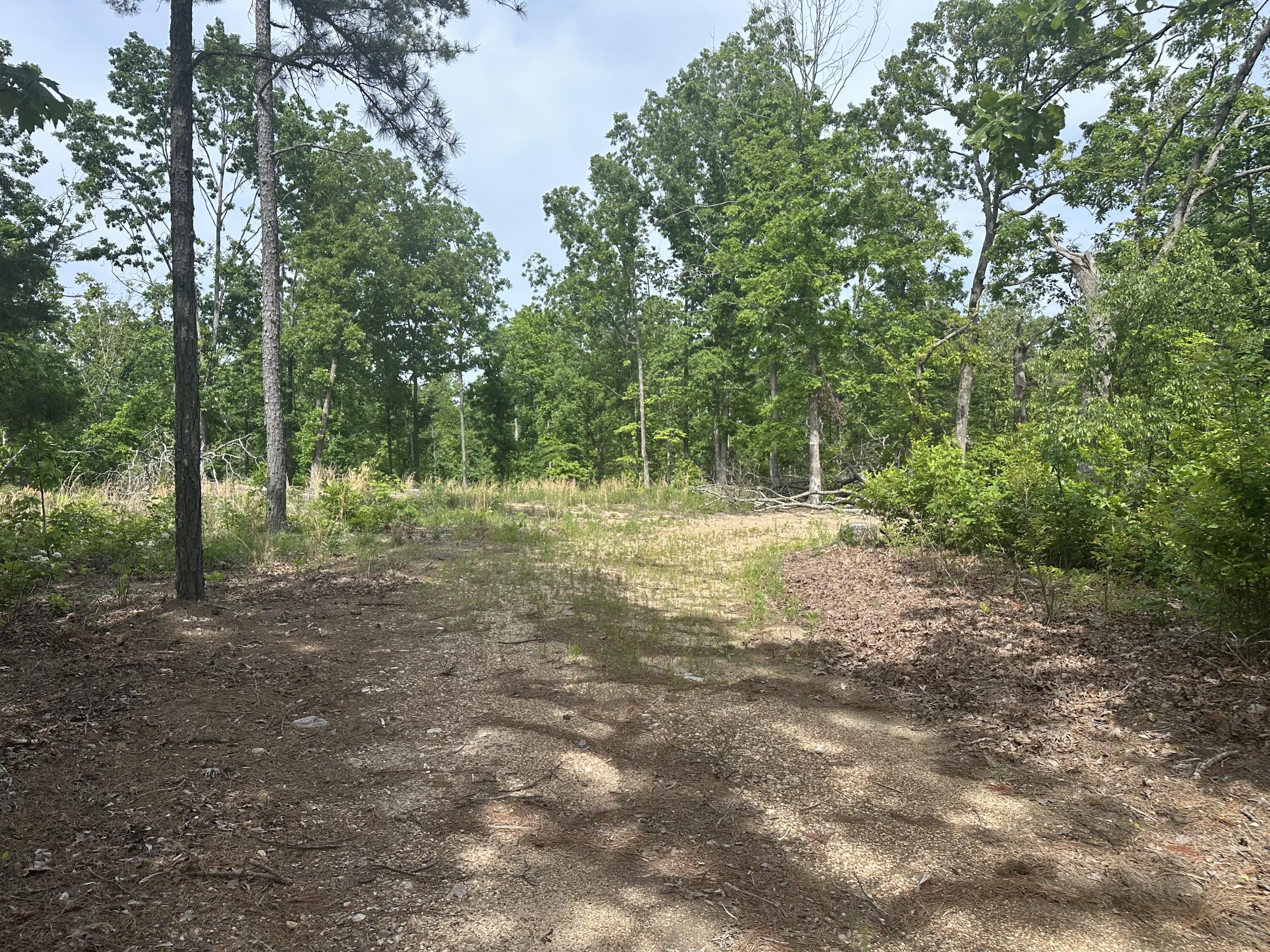 000 Highway 21 And County Road 546 Property Photo