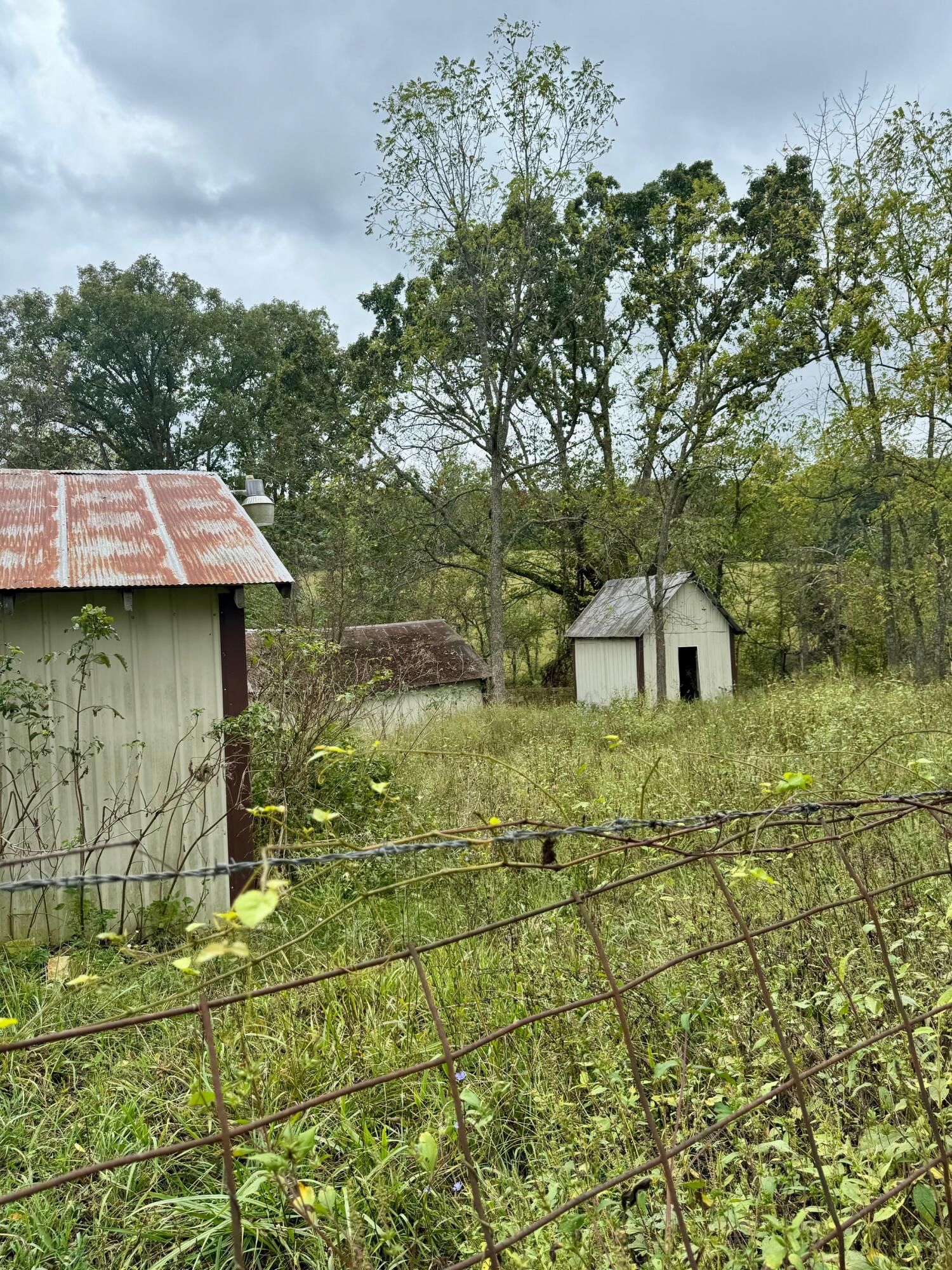 7964 Co Road Property Photo 4