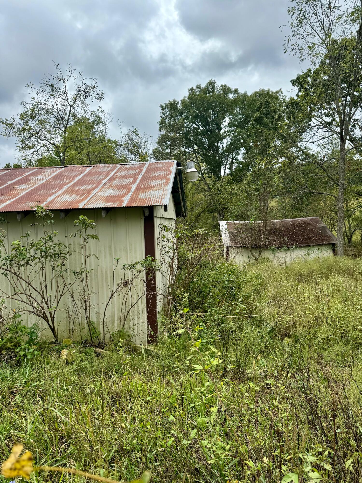 7964 Co Road Property Photo 11