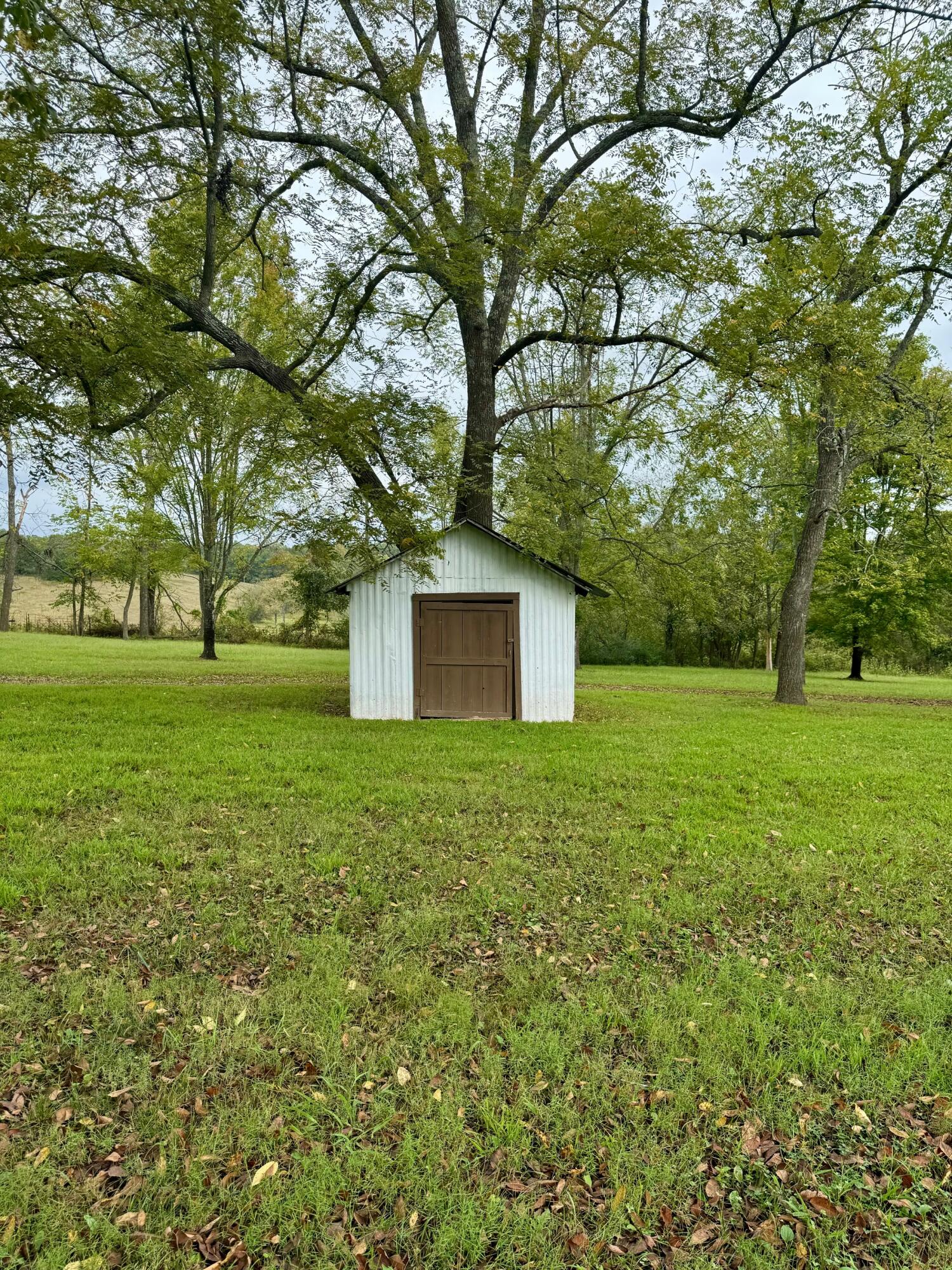 7964 Co Road Property Photo 12
