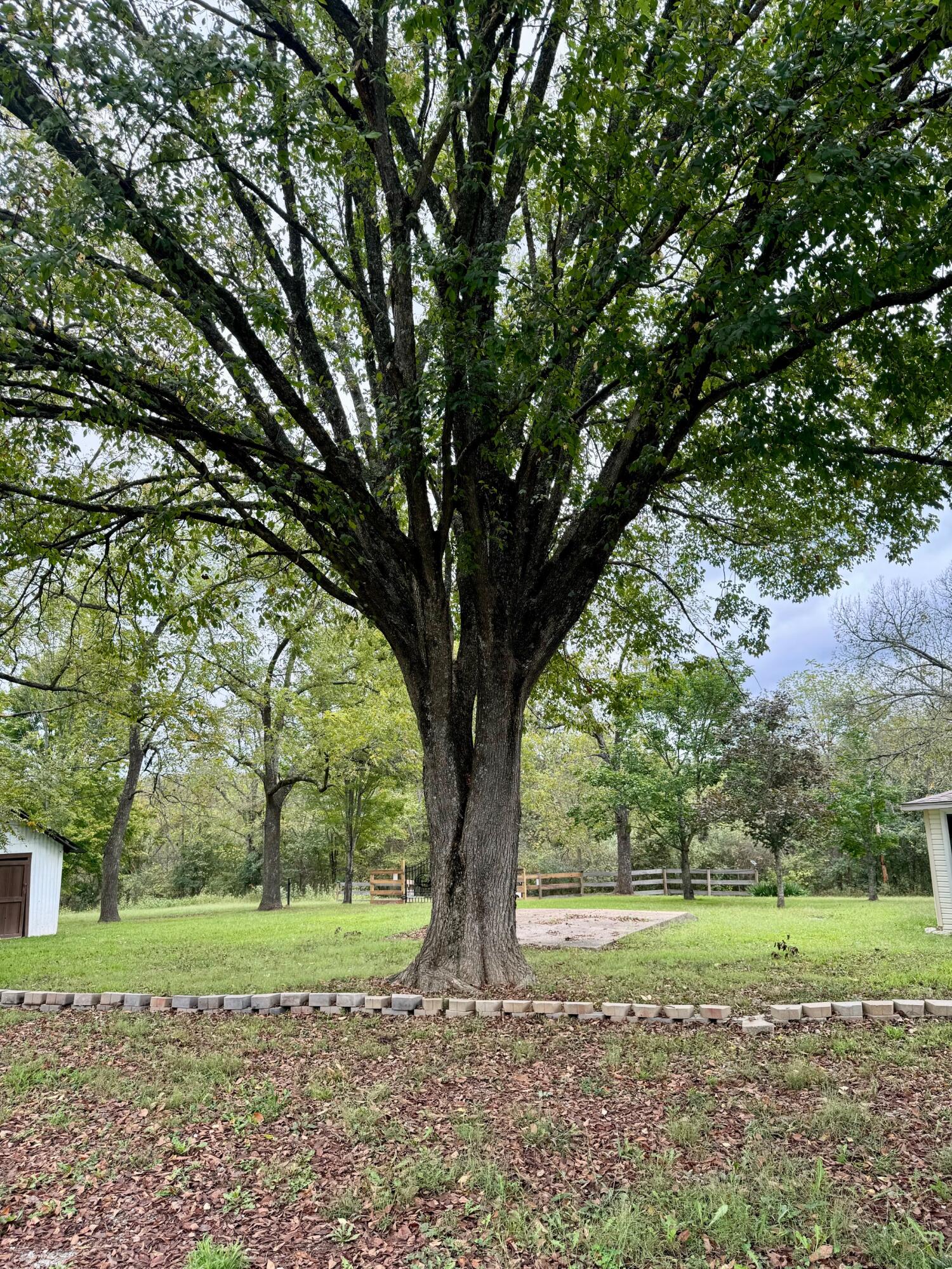 7964 Co Road Property Photo 18