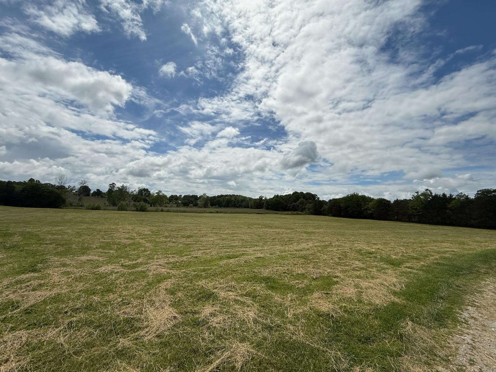 2772 Morriston Road Property Photo 45