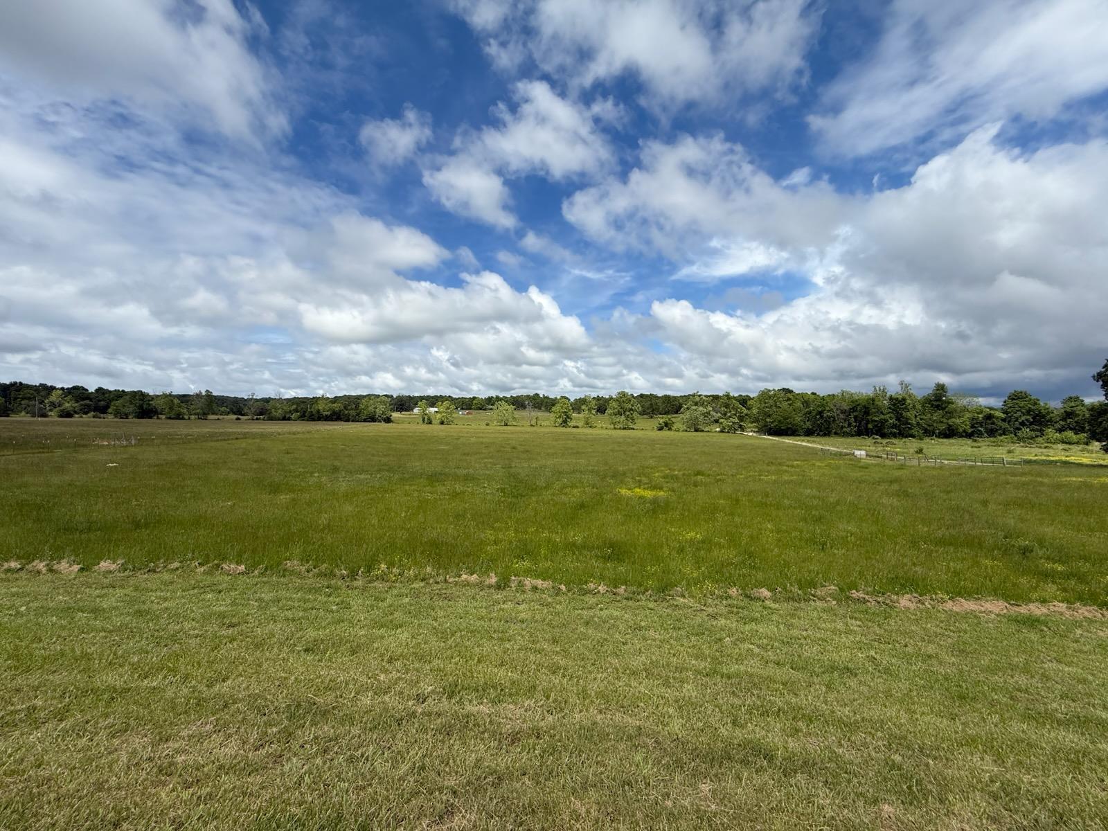 2772 Morriston Road Property Photo 55