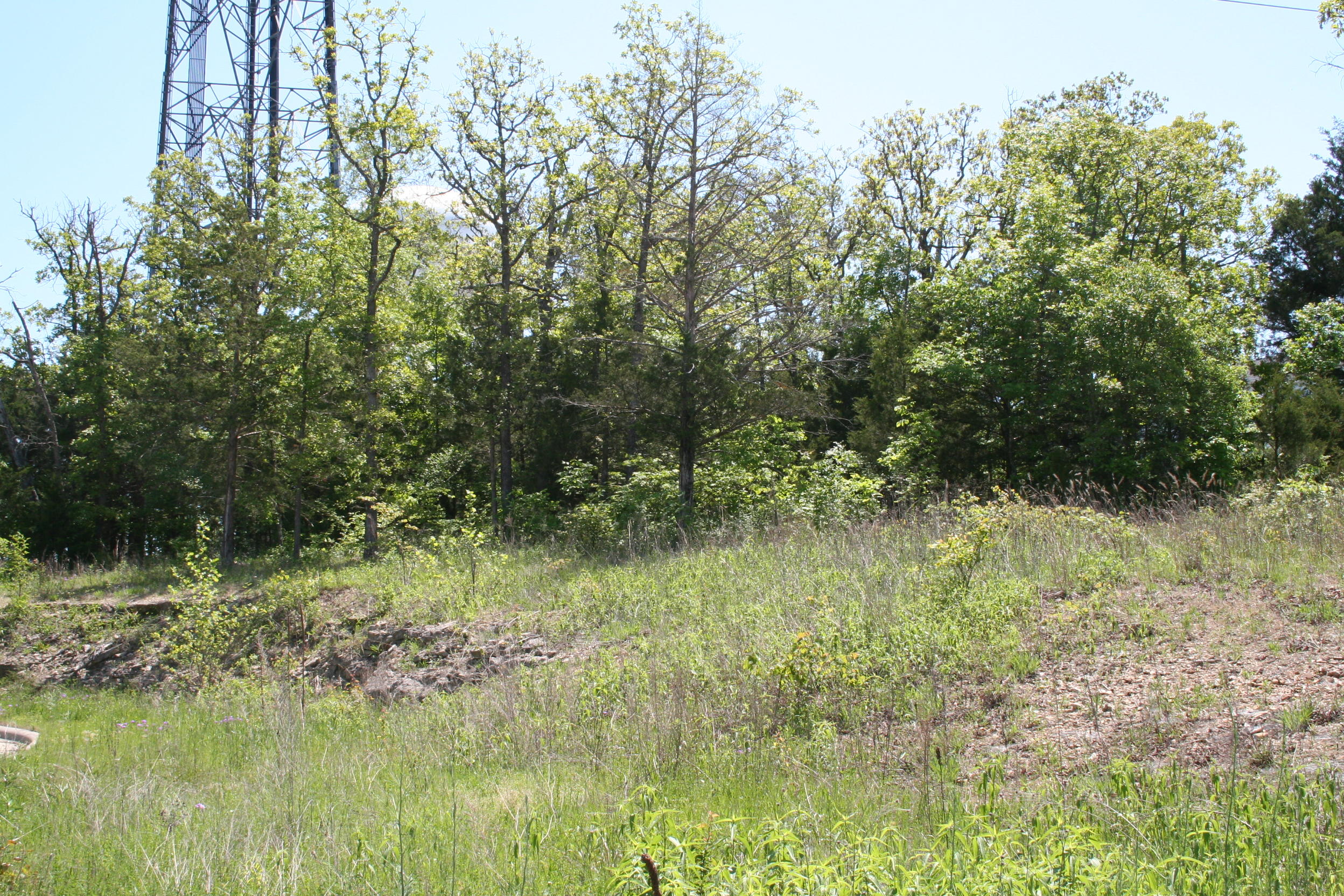 146 Deauville Circle Property Photo 2