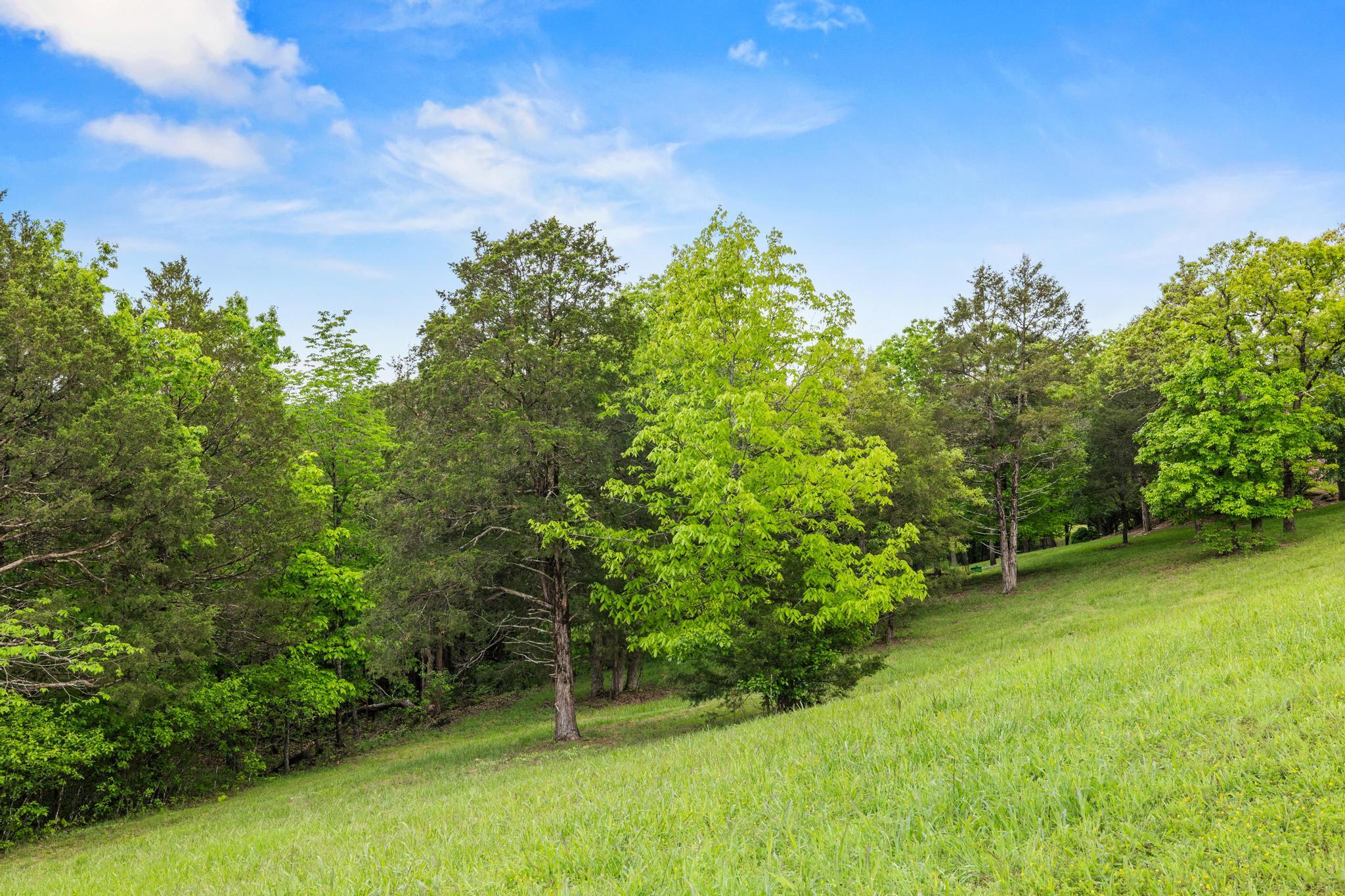 99aa Arabian Way Property Photo 15