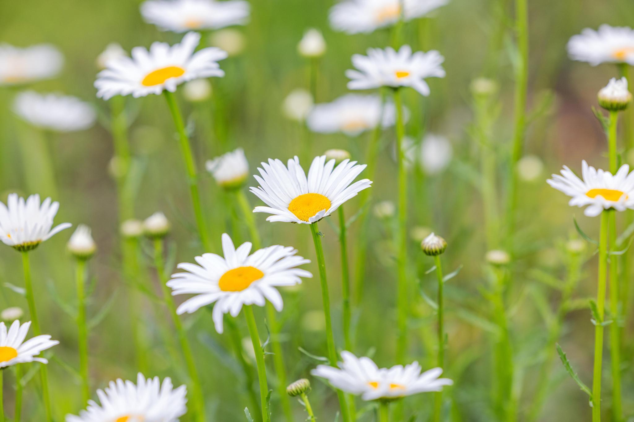 99aa Arabian Way Property Photo 17