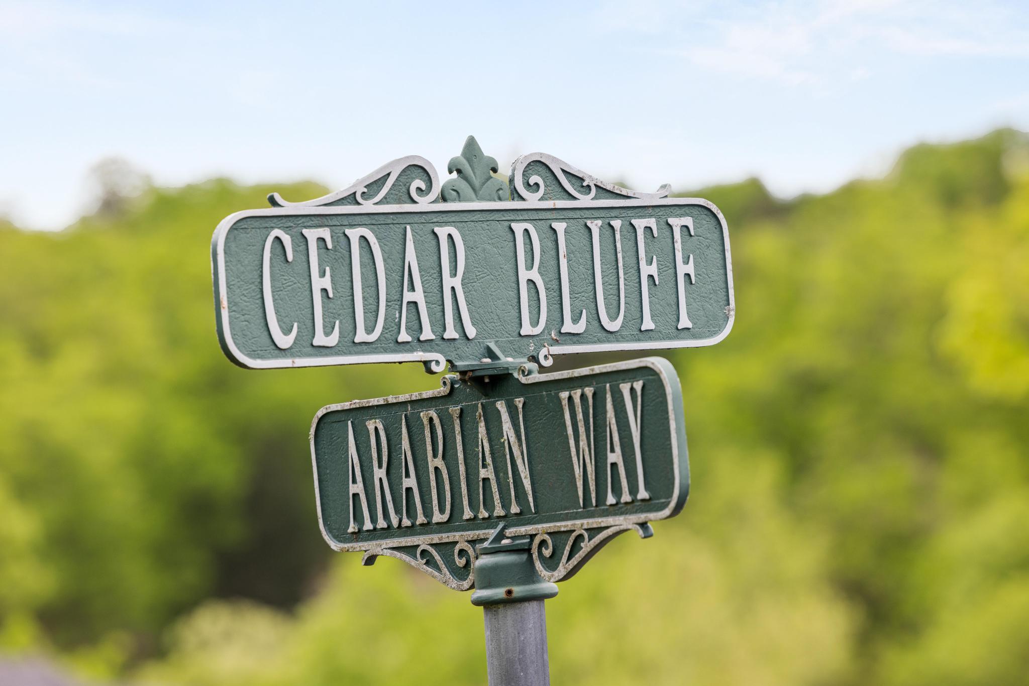 99aa Arabian Way Property Photo 18