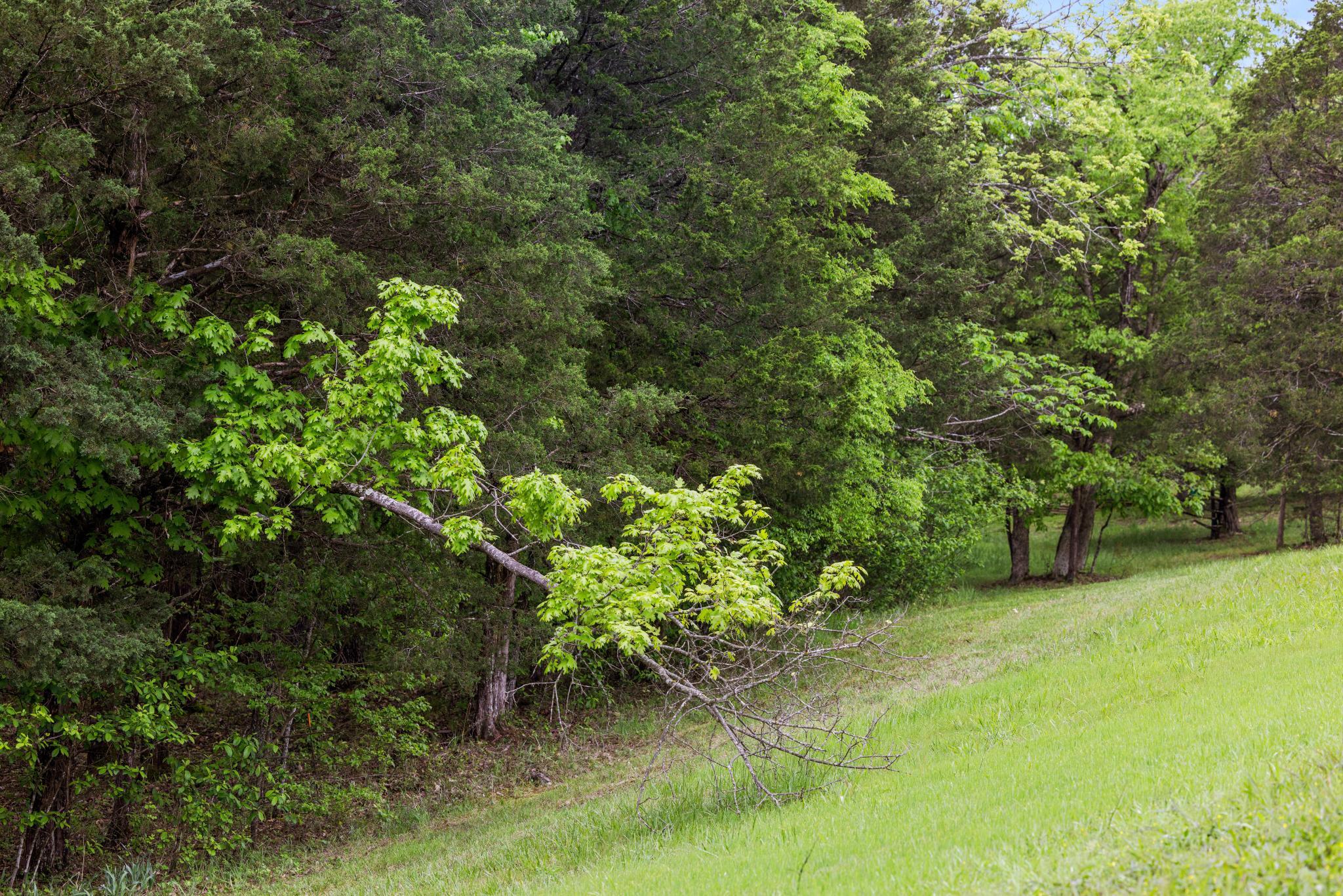 99aa Arabian Way Property Photo 19