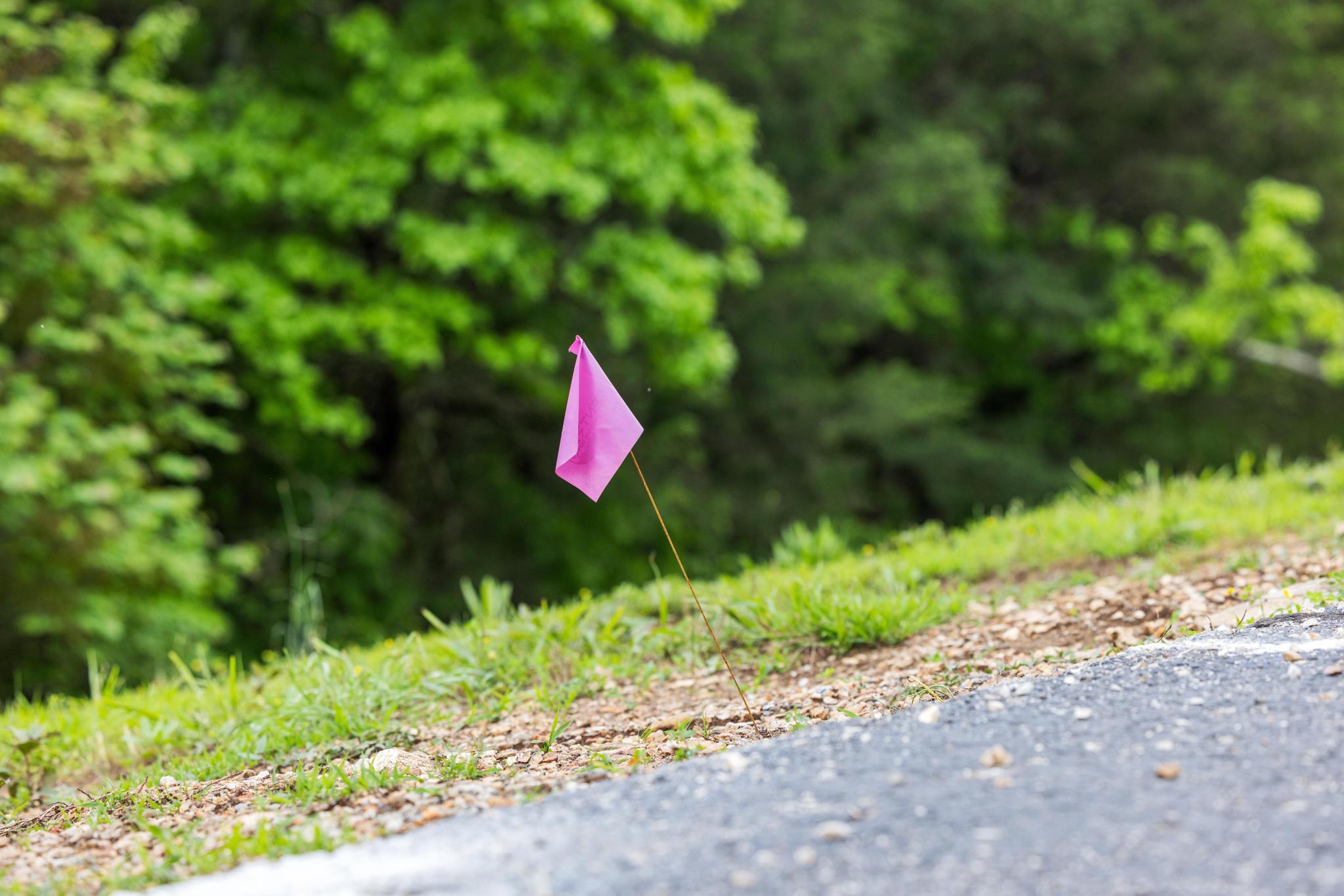 99aa Arabian Way Property Photo 20