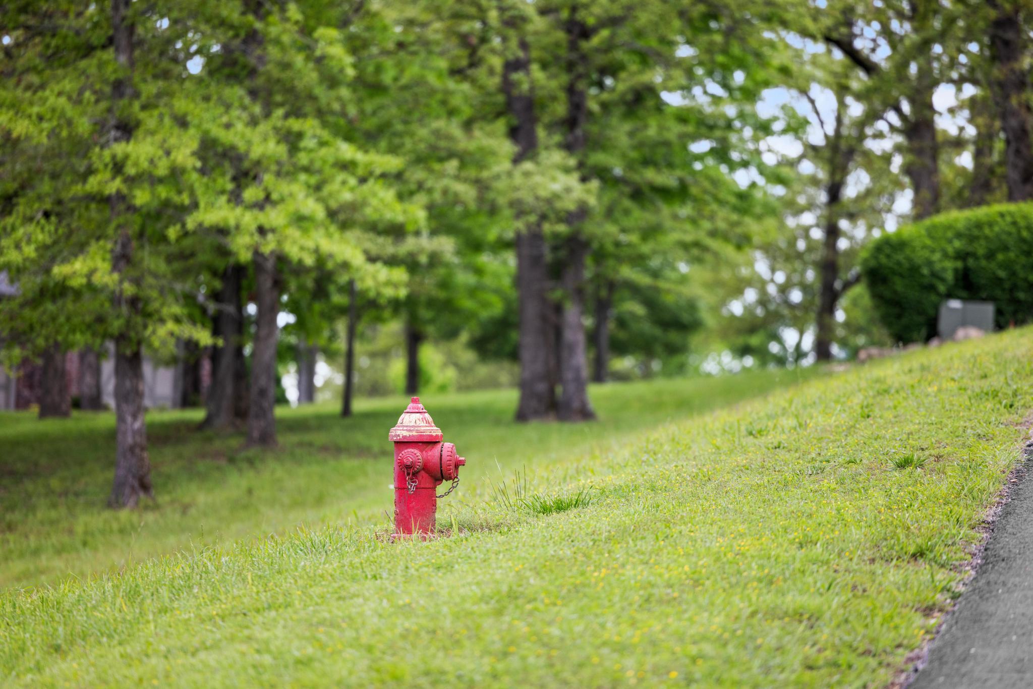 99aa Arabian Way Property Photo 22