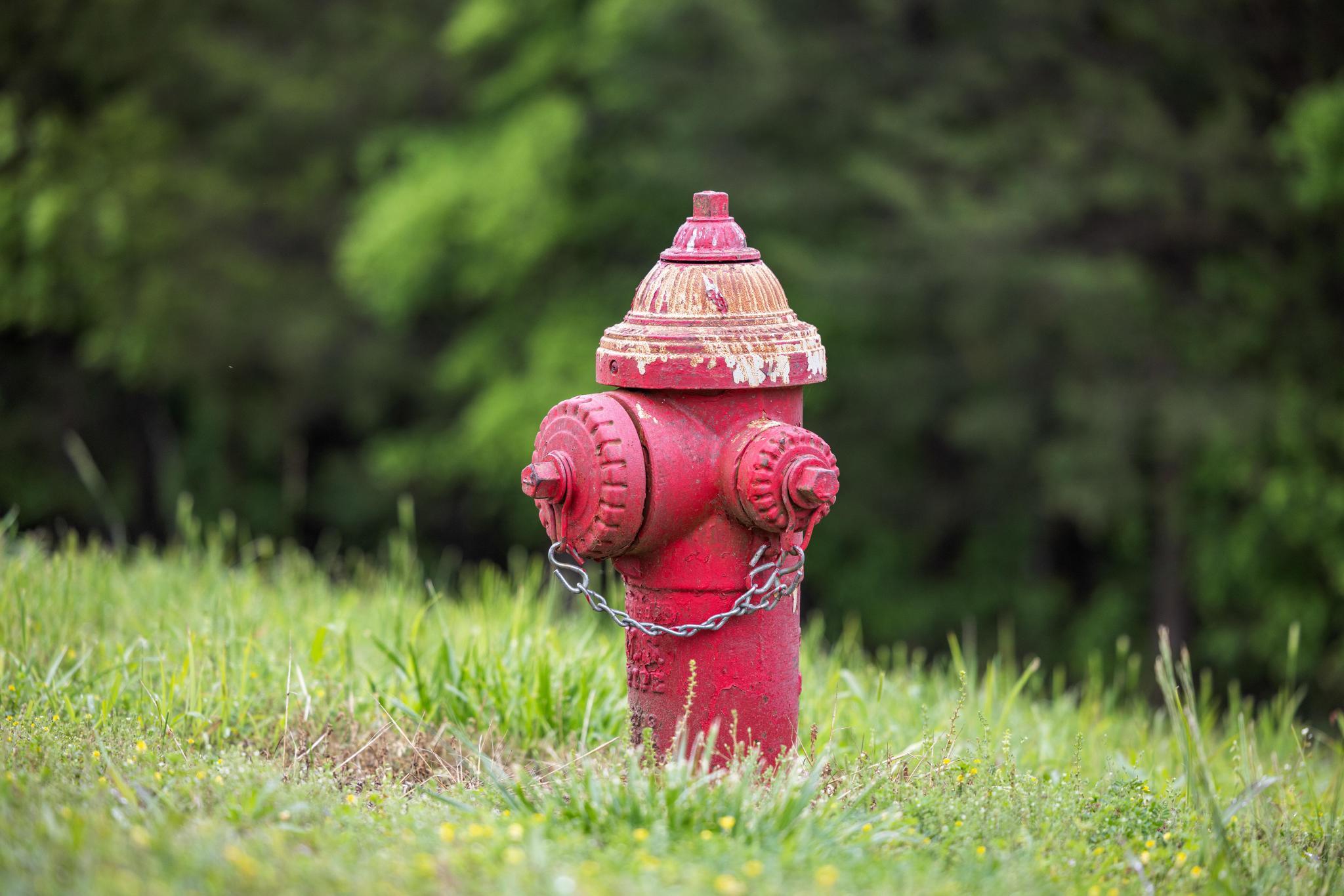 99aa Arabian Way Property Photo 23