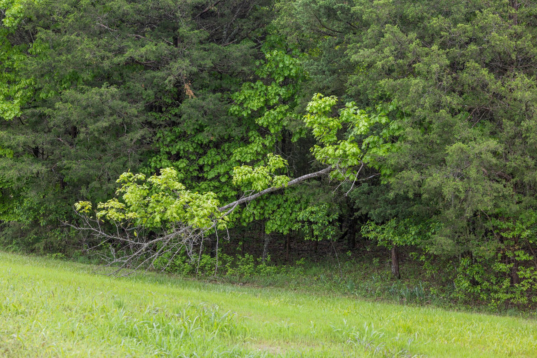 99aa Arabian Way Property Photo 24