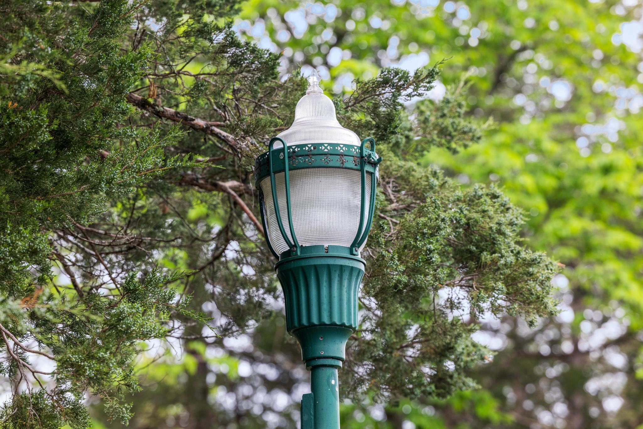 99aa Arabian Way Property Photo 28