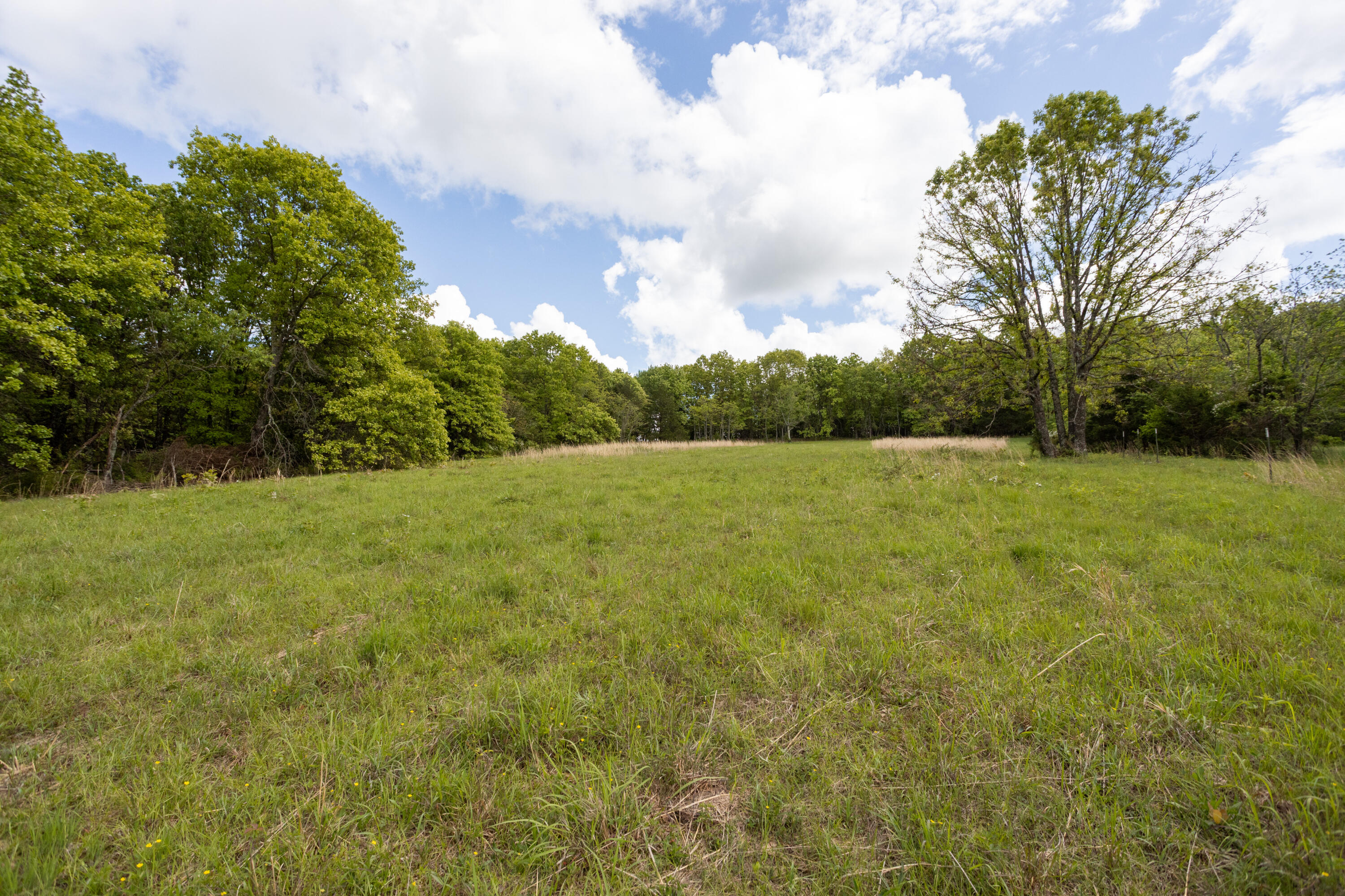 1952 Mount Pisgah Road Property Photo