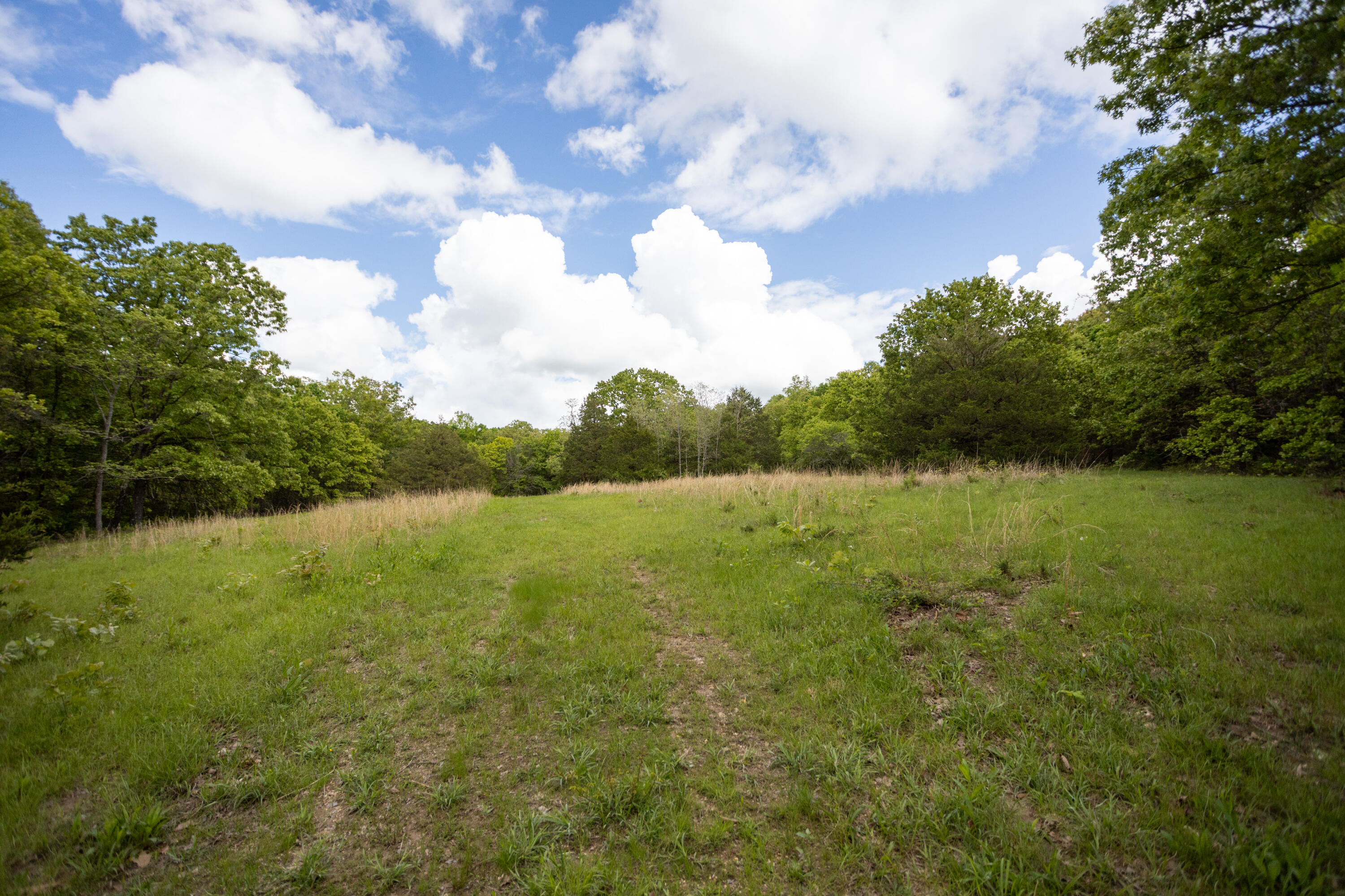1952 Mount Pisgah Road Property Photo 2