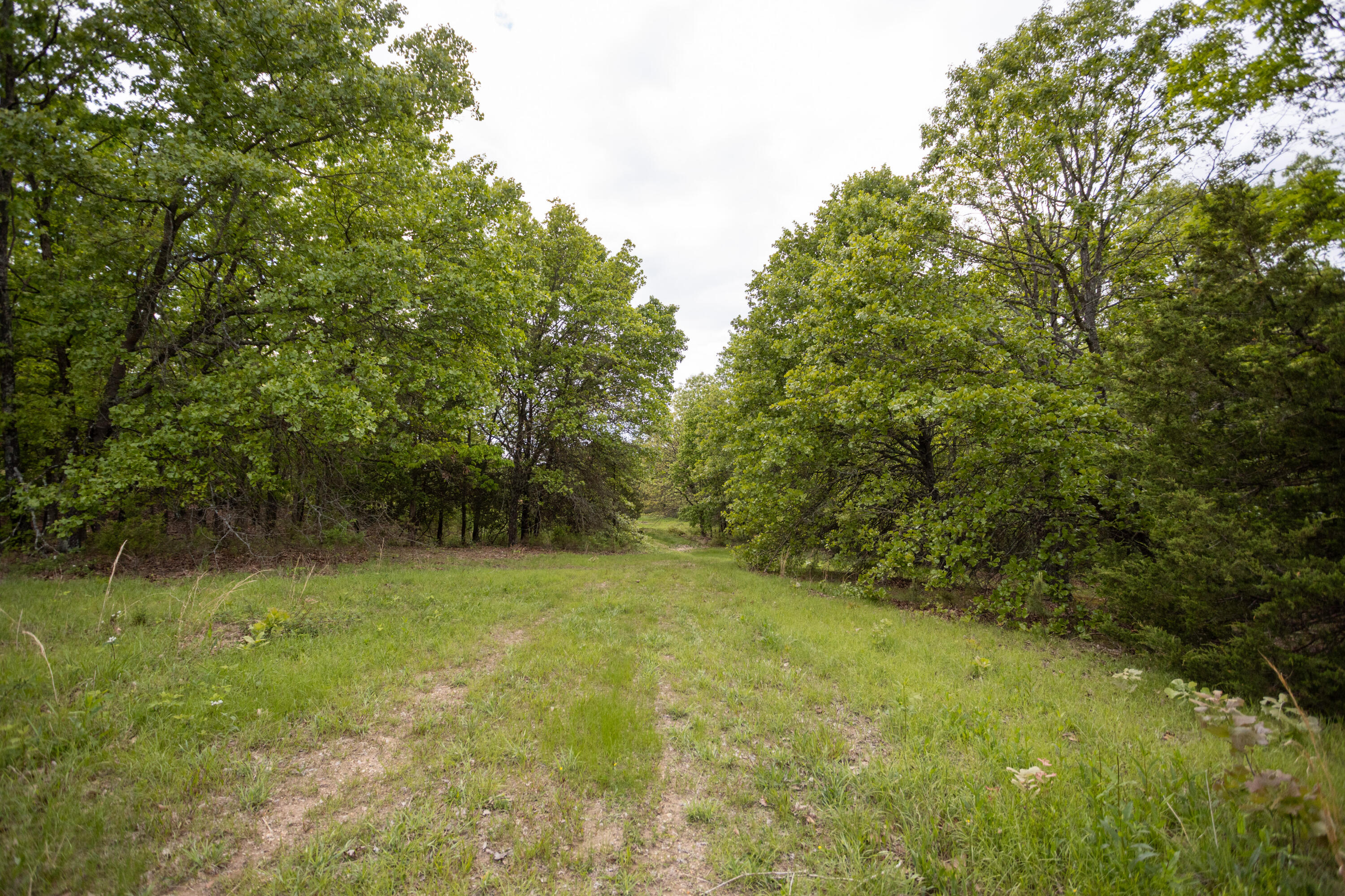 1952 Mount Pisgah Road Property Photo 3