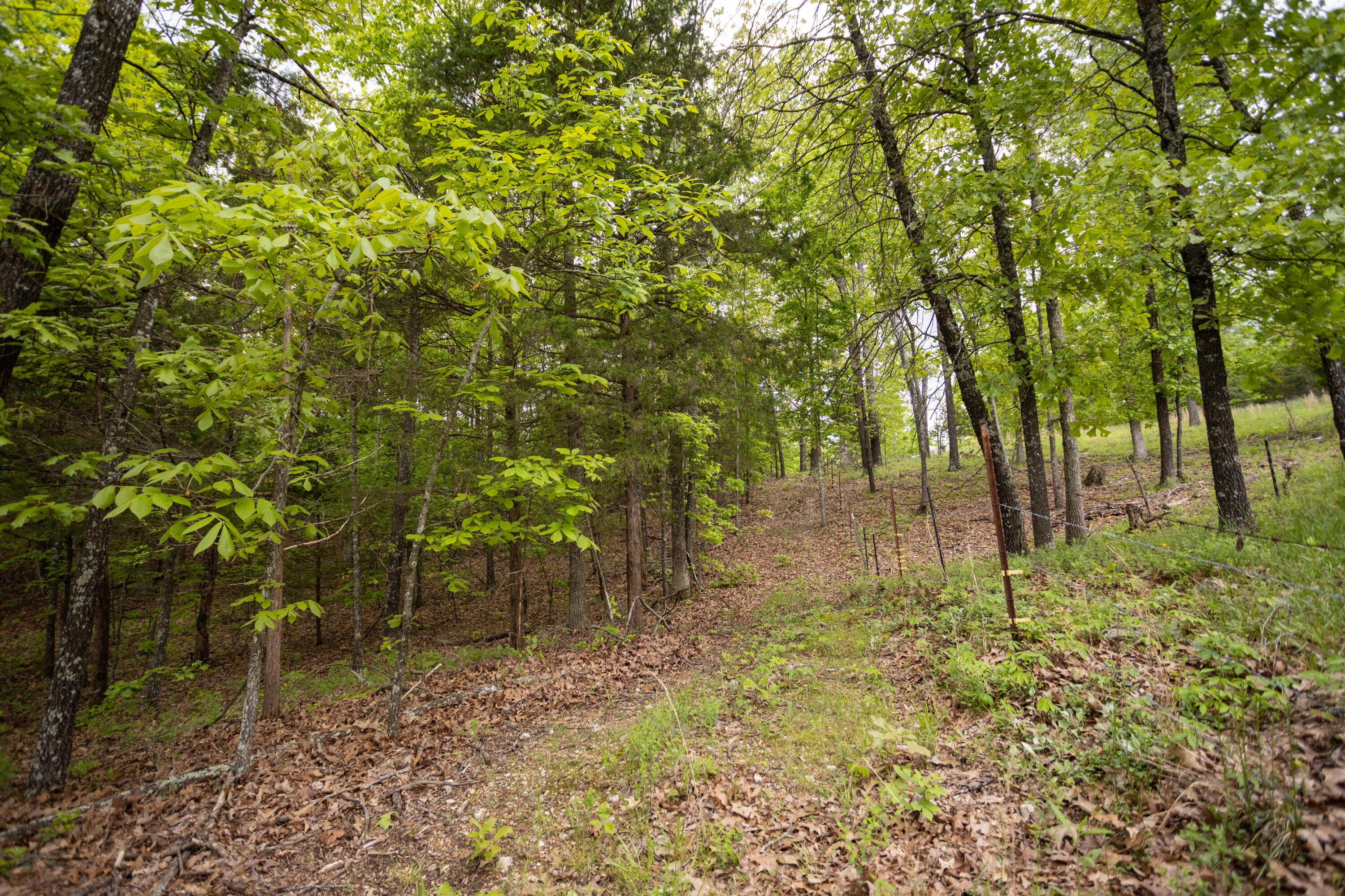 1952 Mount Pisgah Road Property Photo 16