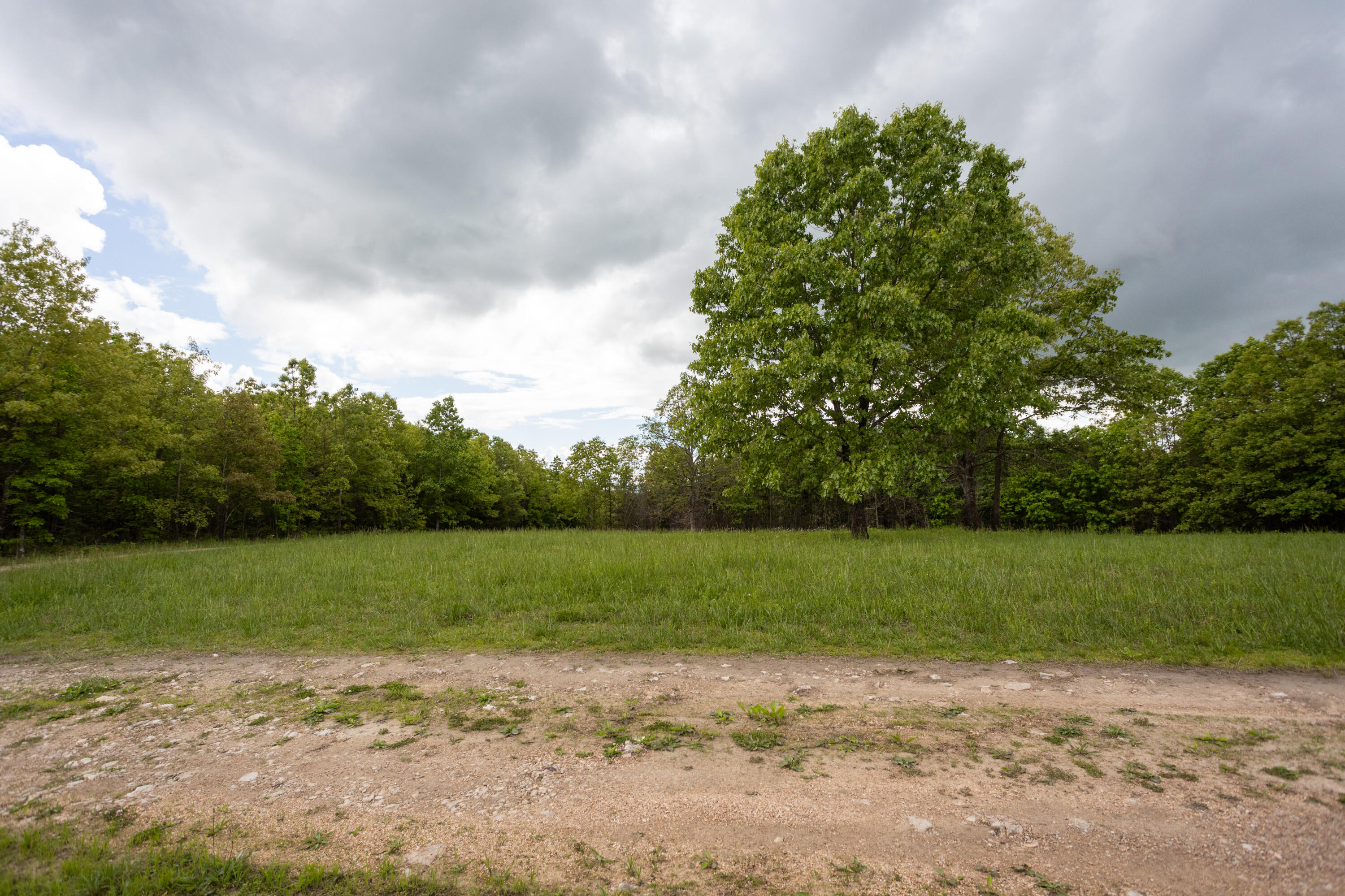 1952 Mount Pisgah Road Property Photo 23