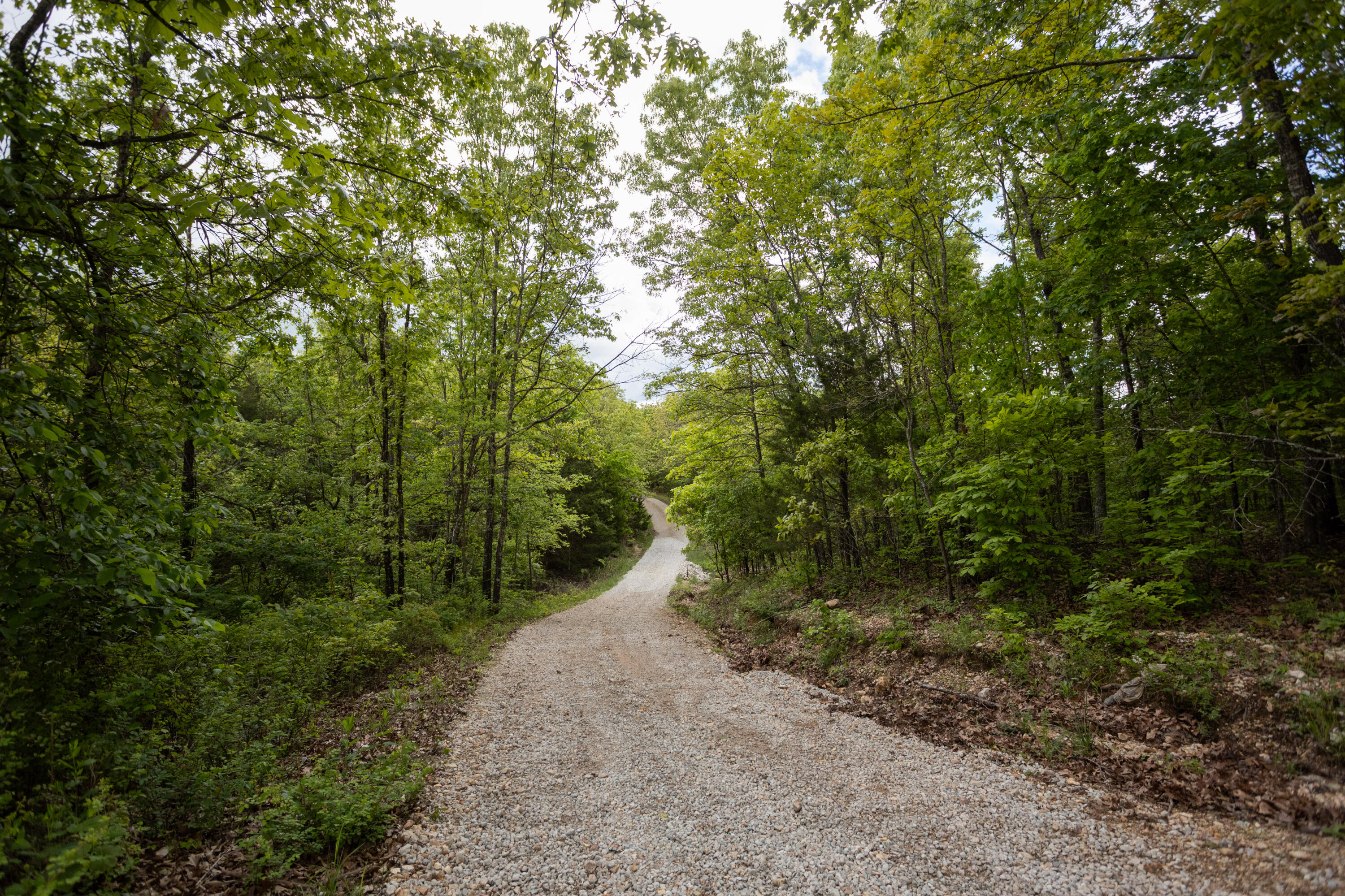 1952 Mount Pisgah Road Property Photo 24