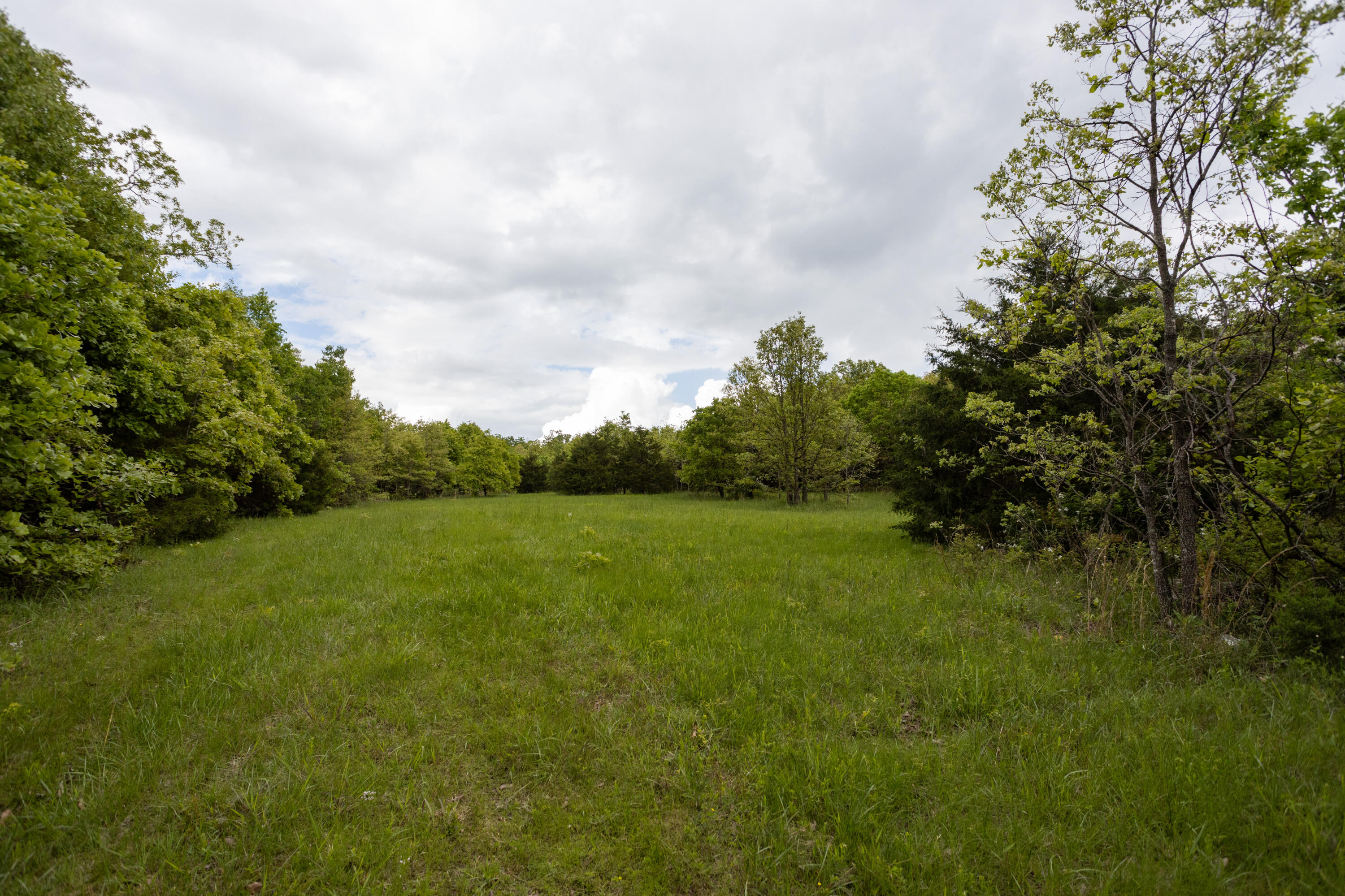 1952 Mount Pisgah Road Property Photo 35