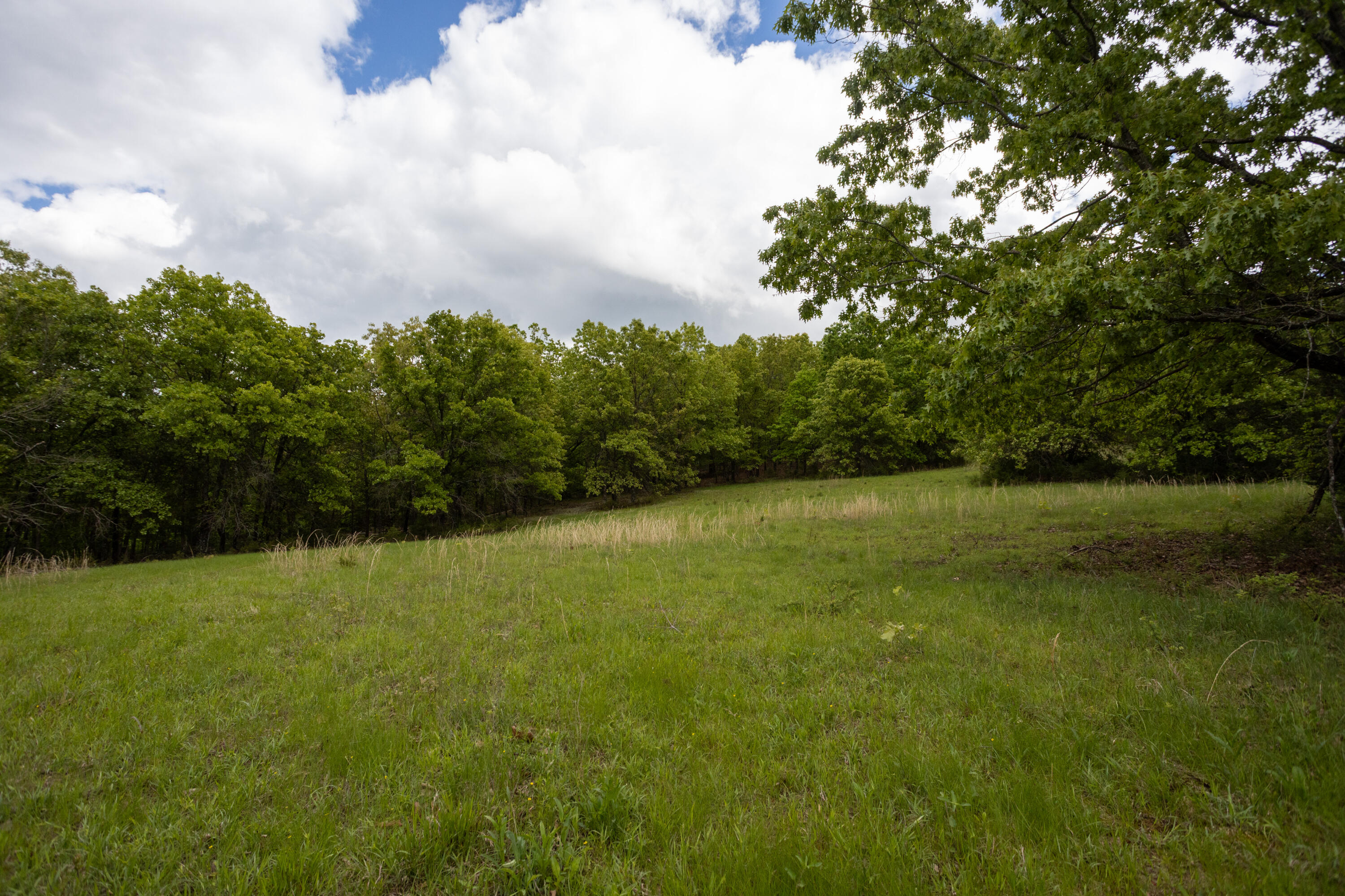 1952 Mount Pisgah Road Property Photo 37