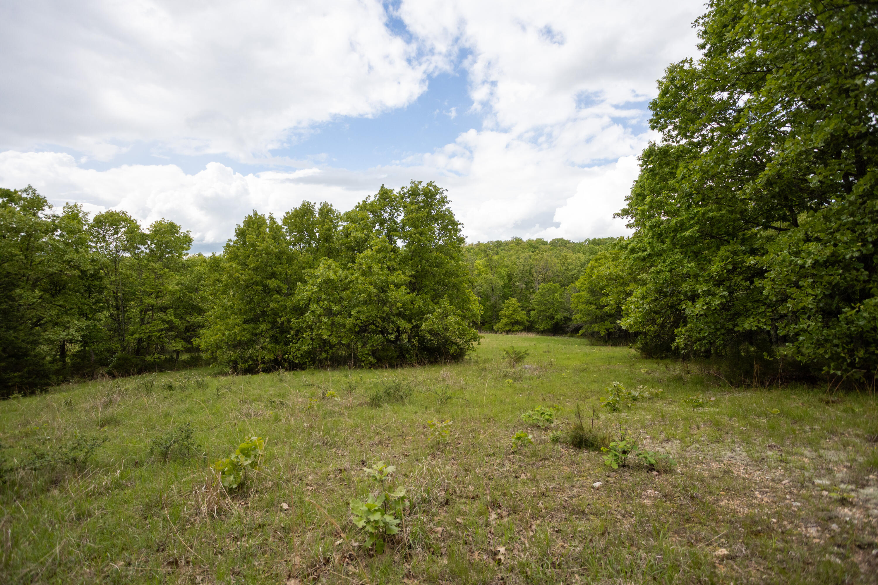 1952 Mount Pisgah Road Property Photo 39