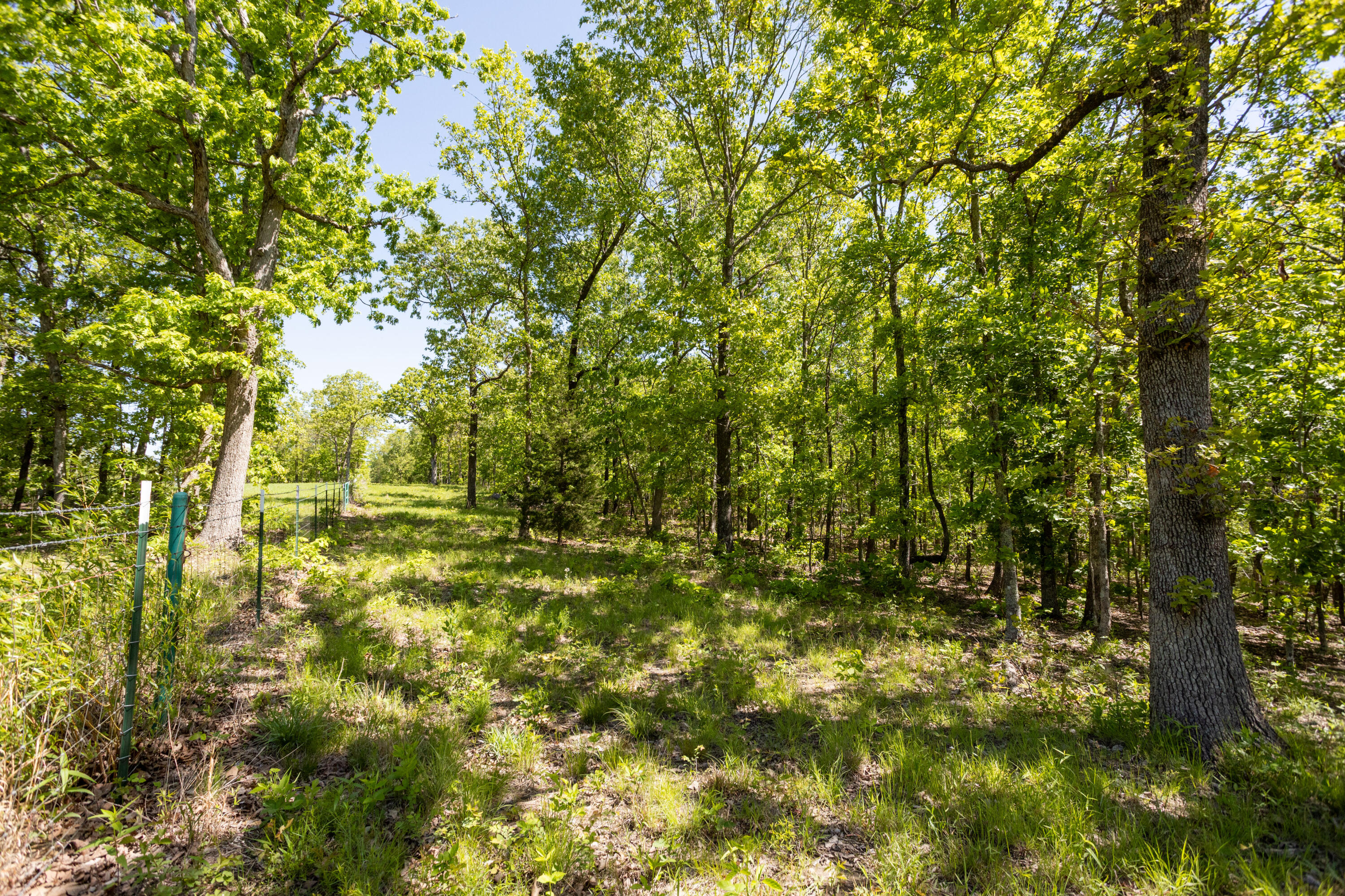 000 County Road 7630