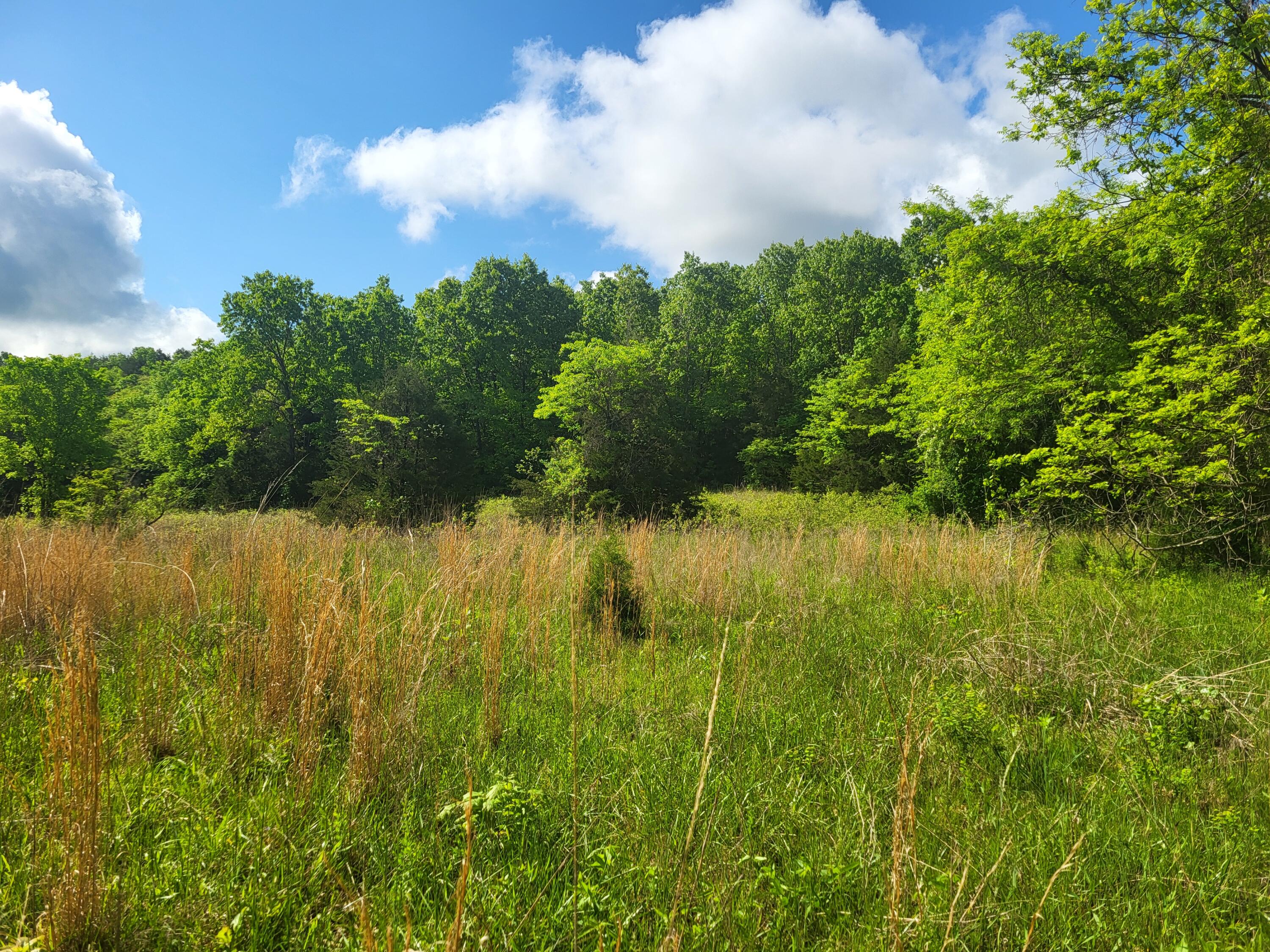 000 County Road 511 Property Photo 6