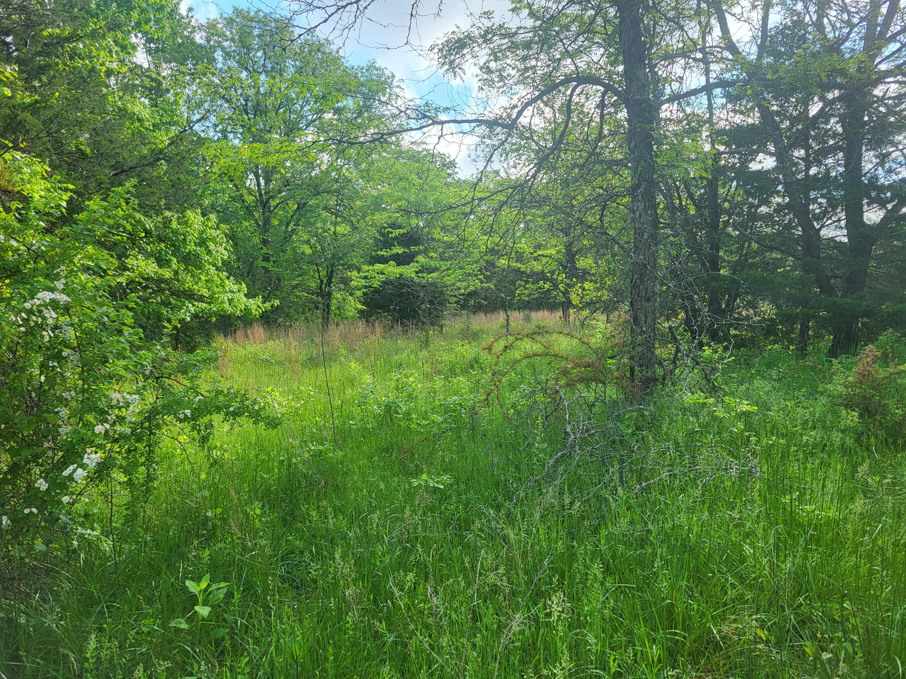 000 County Road 511 Property Photo 7