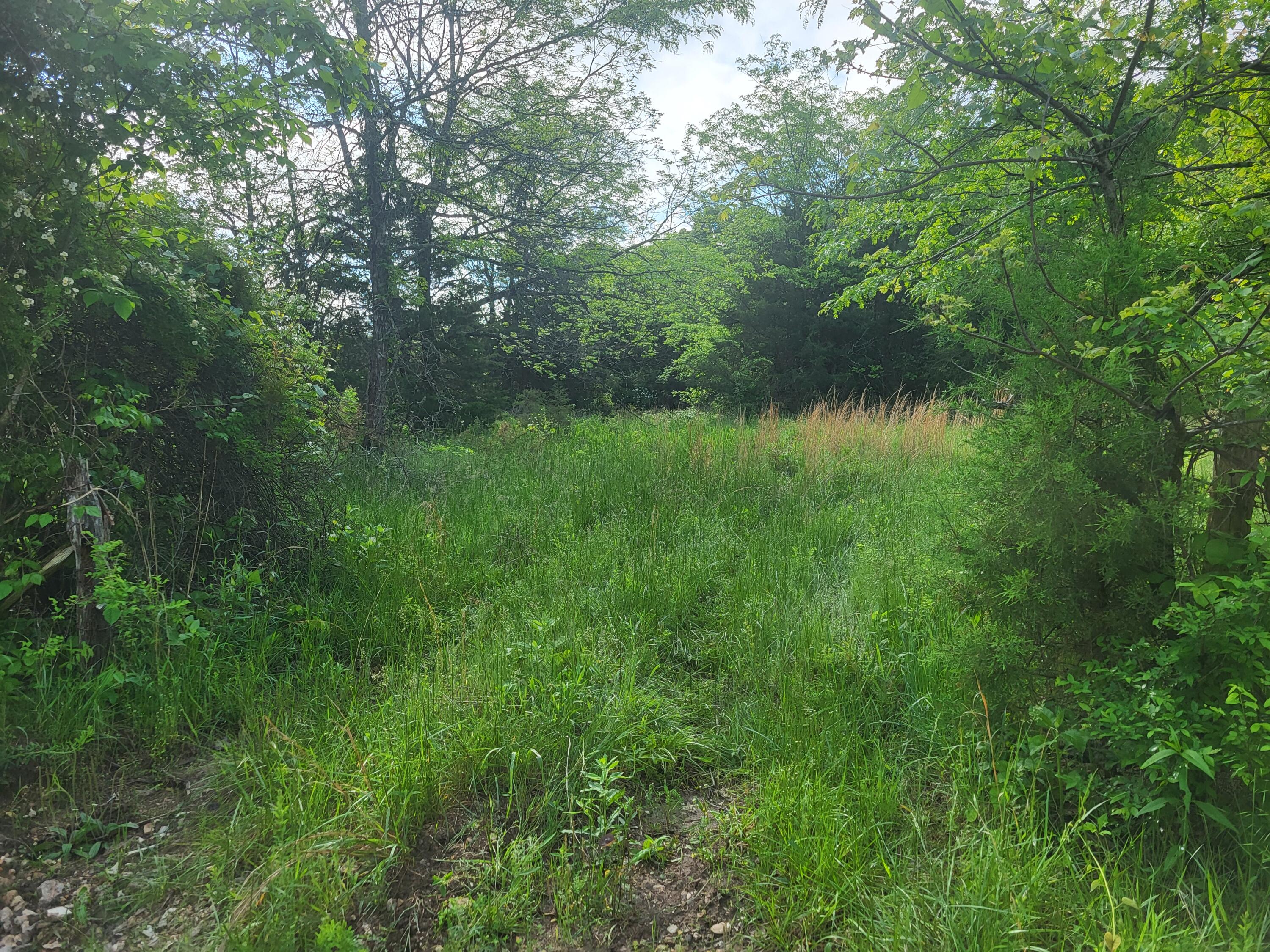 000 County Road 511 Property Photo 10