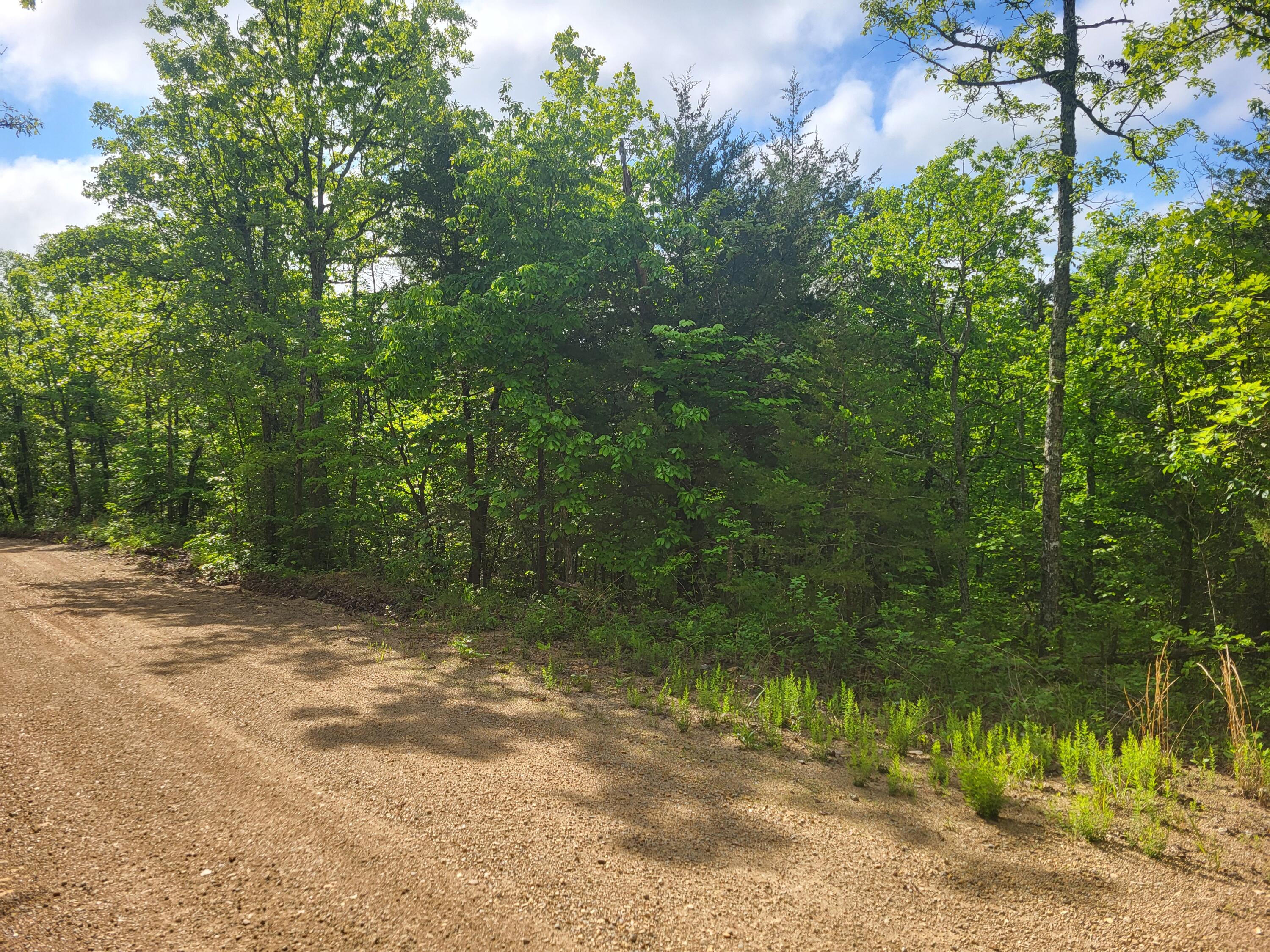 000 County Road 511 Property Photo 12