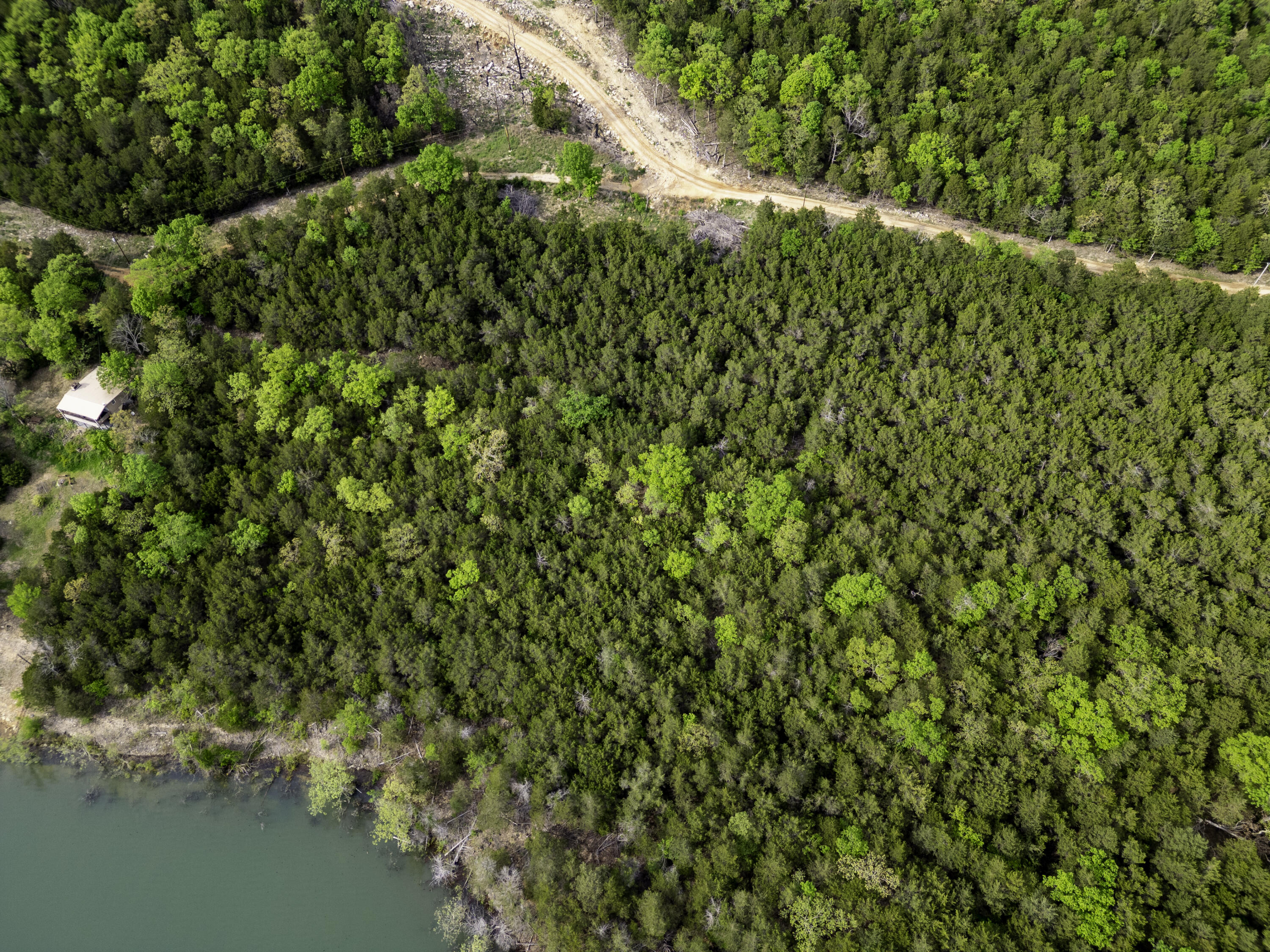 000 Bobcat Ridge Rd. Property Photo 3