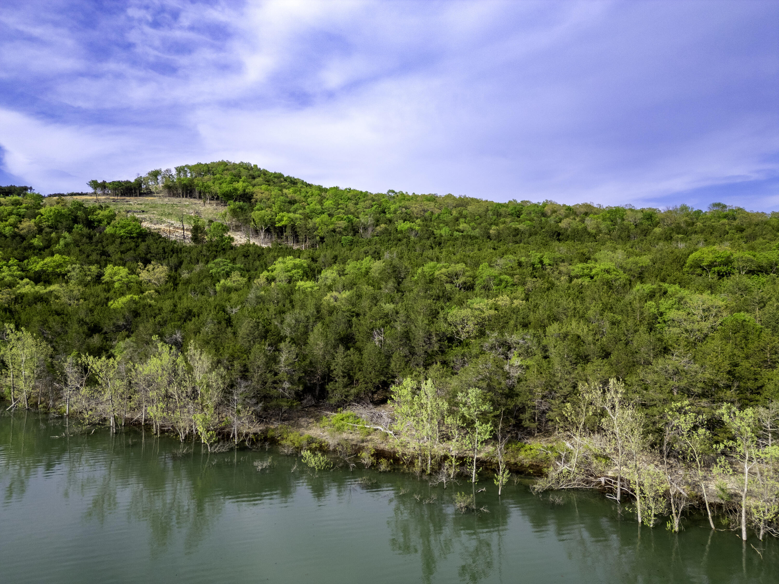 000 Bobcat Ridge Rd. Property Photo 12