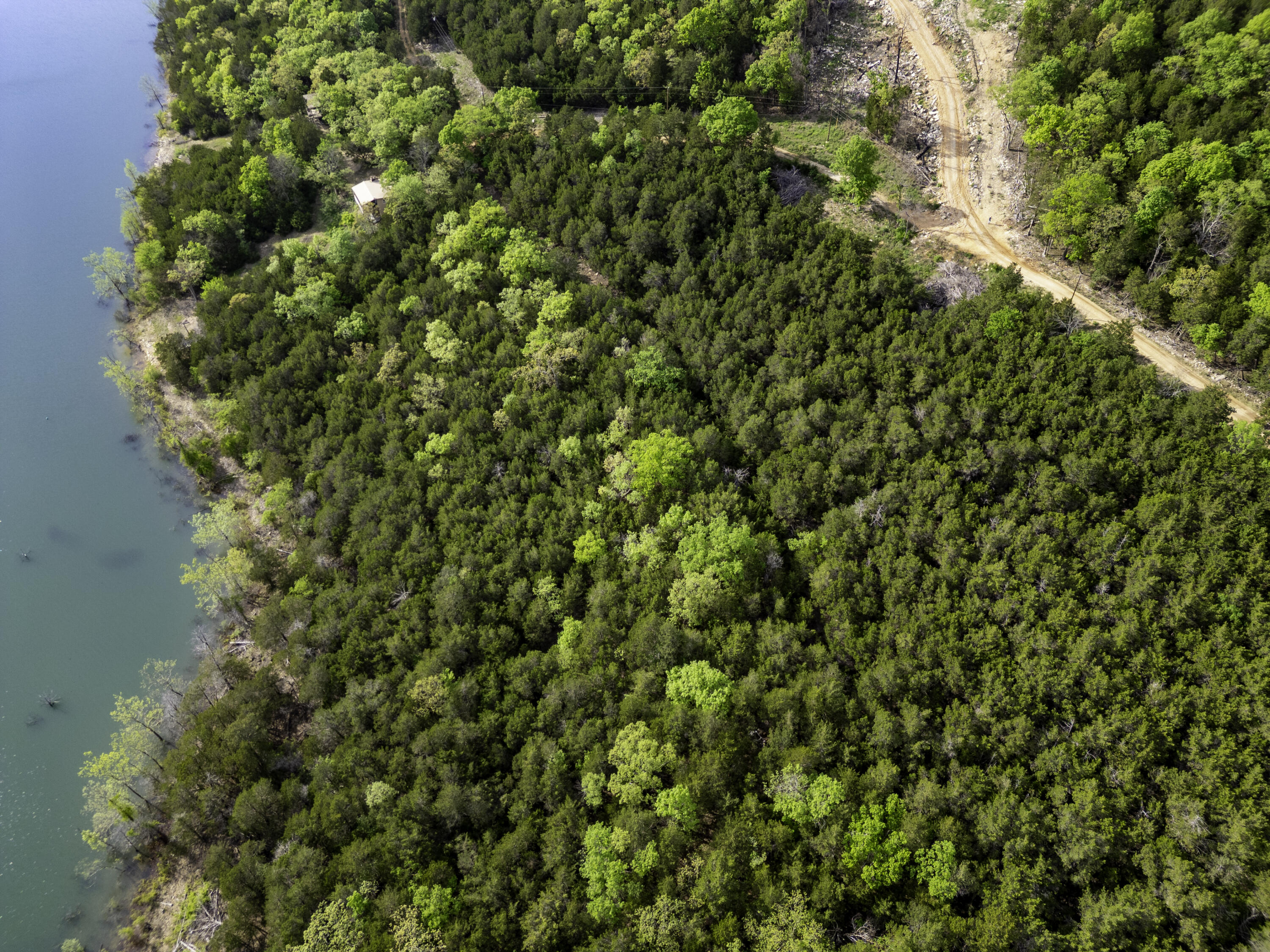000 Bobcat Ridge Rd. Property Photo 14
