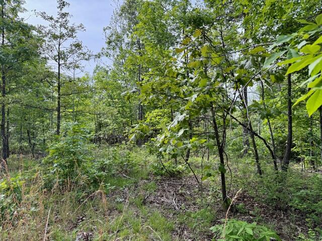 9386 County Road 2660 Property Photo 40