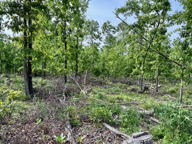 9386 County Road 2660 Property Photo 41