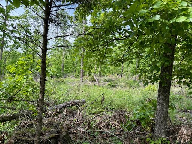 9386 County Road 2660 Property Photo 43