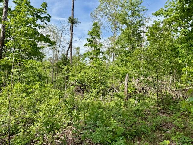 9386 County Road 2660 Property Photo 44