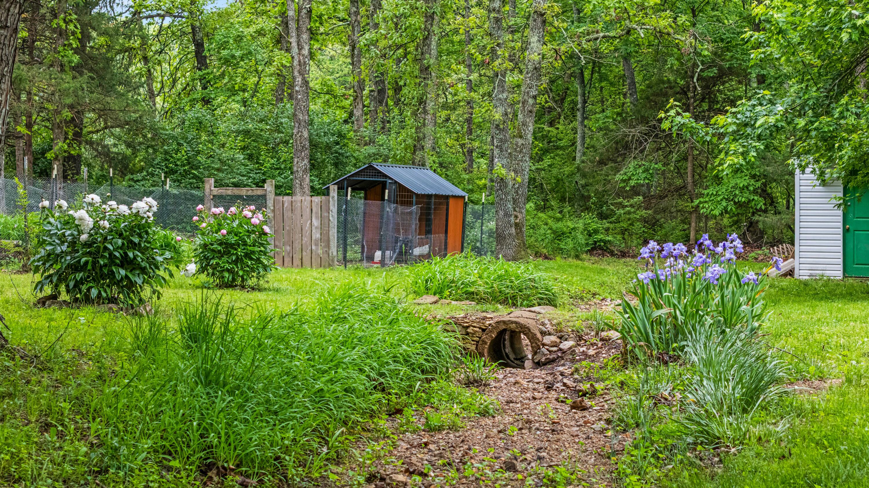 9616 County Road 6310 Property Photo 59