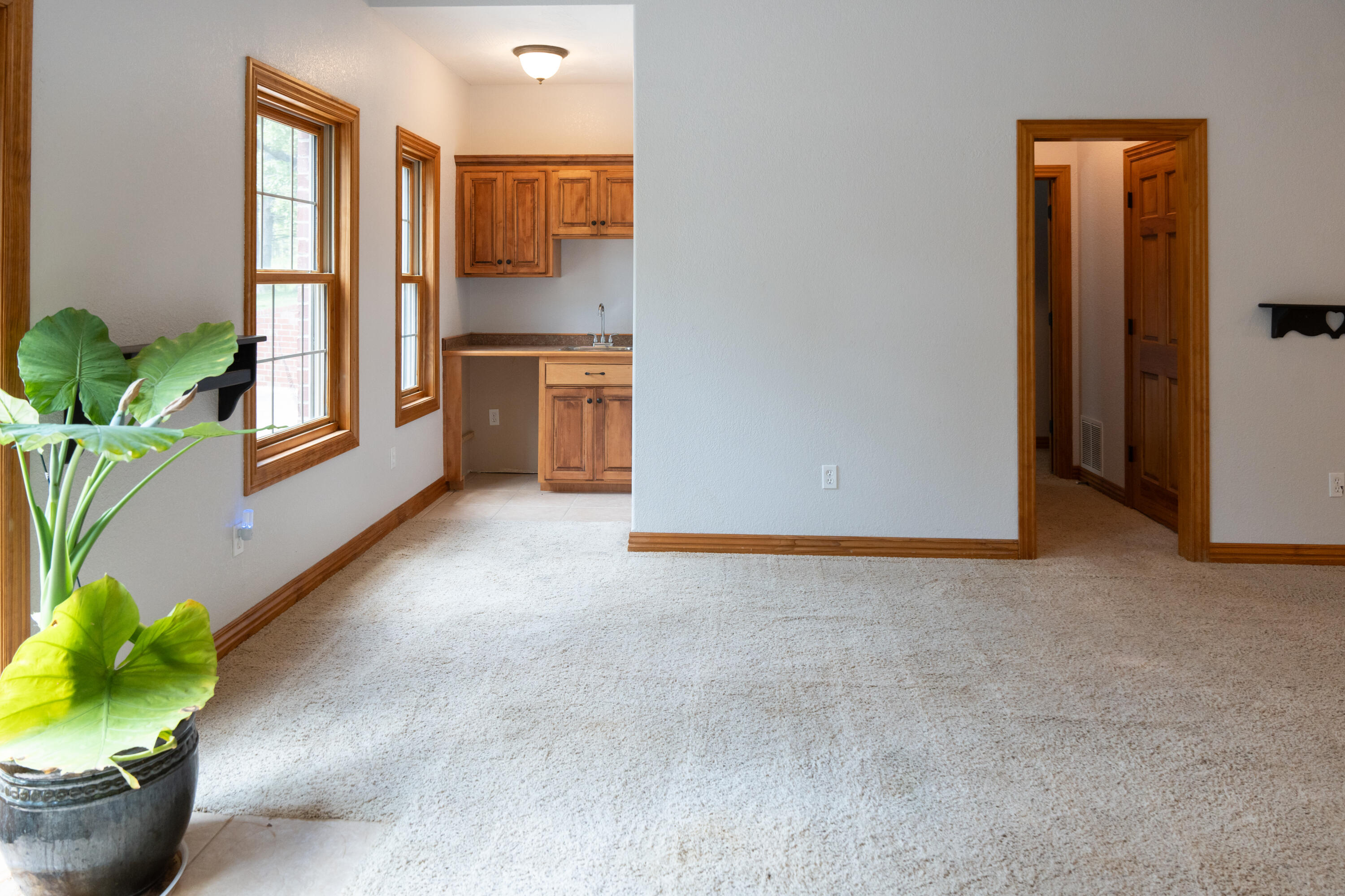 1099 East Julian Street Property Photo 25