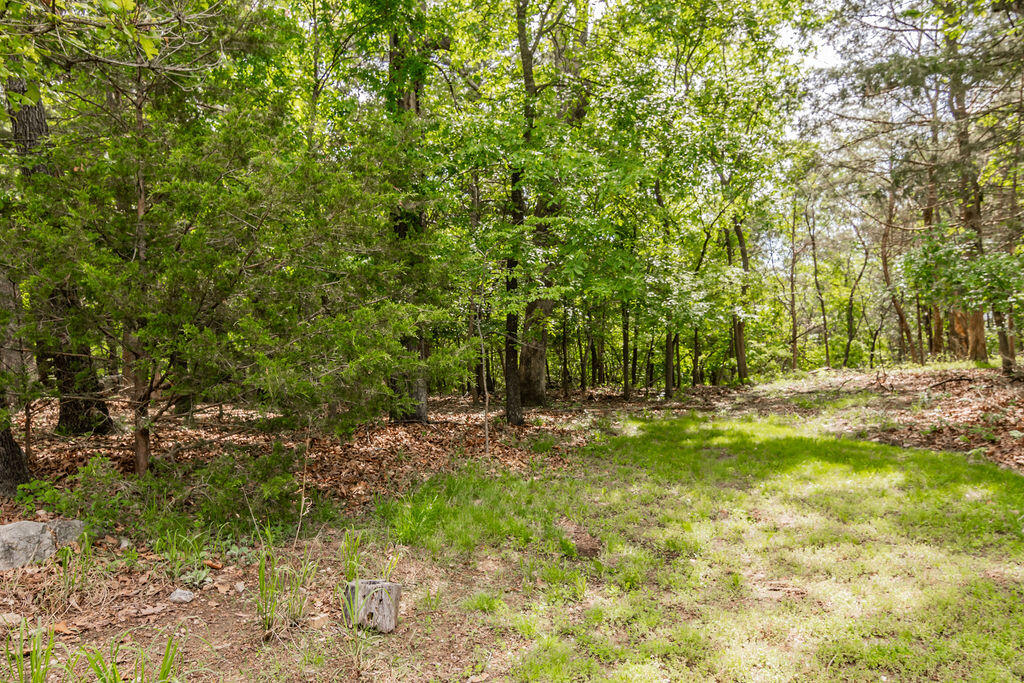 78 Elm Point Lane Property Photo 12