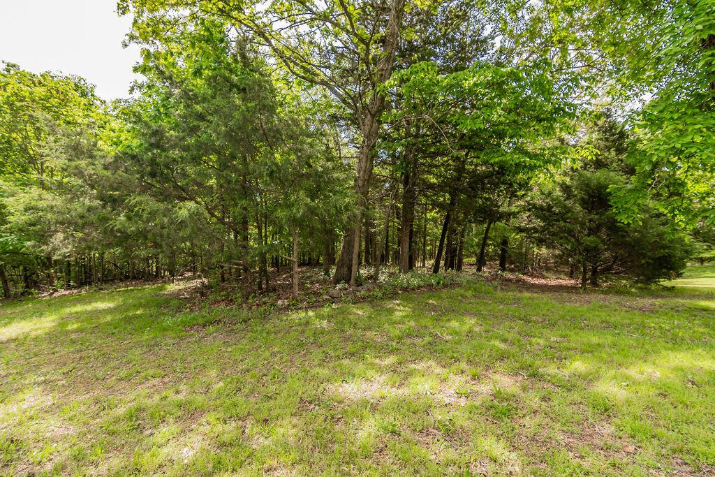 78 Elm Point Lane Property Photo 13